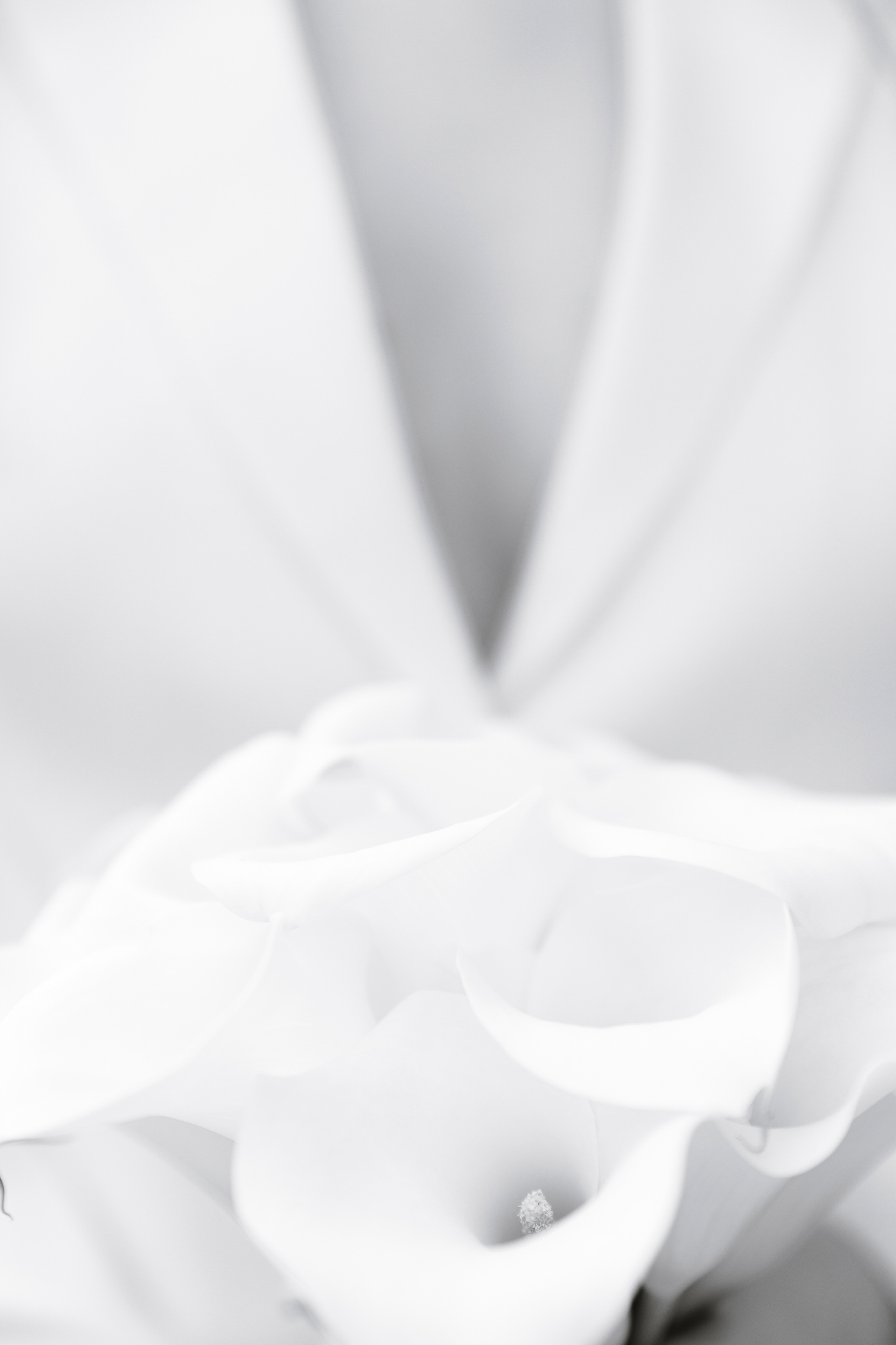 Анастасия и Владислав. Свадебный и семейный фотограф Егорова Юлия