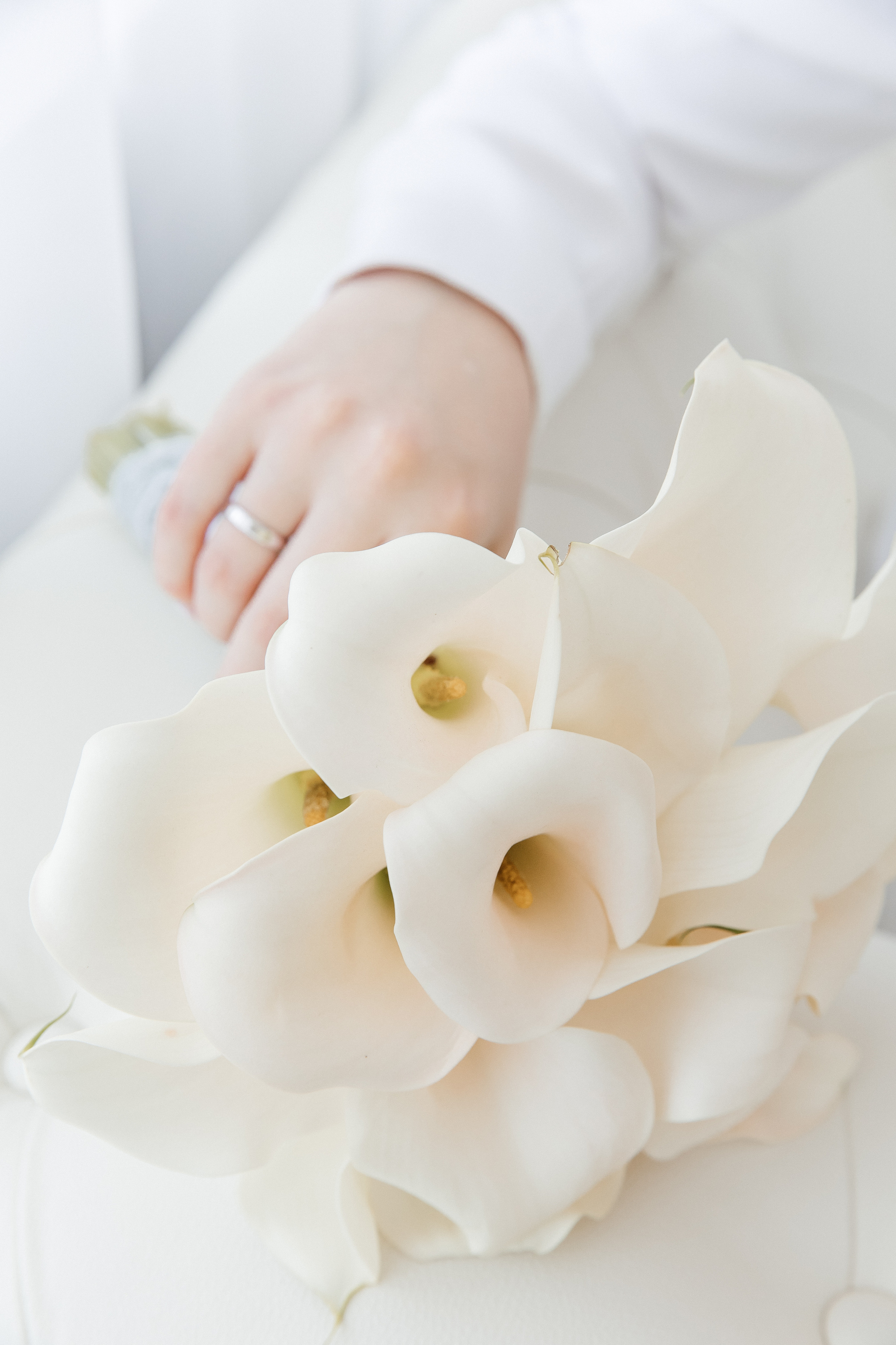 Анастасия и Владислав. Свадебный и семейный фотограф Егорова Юлия