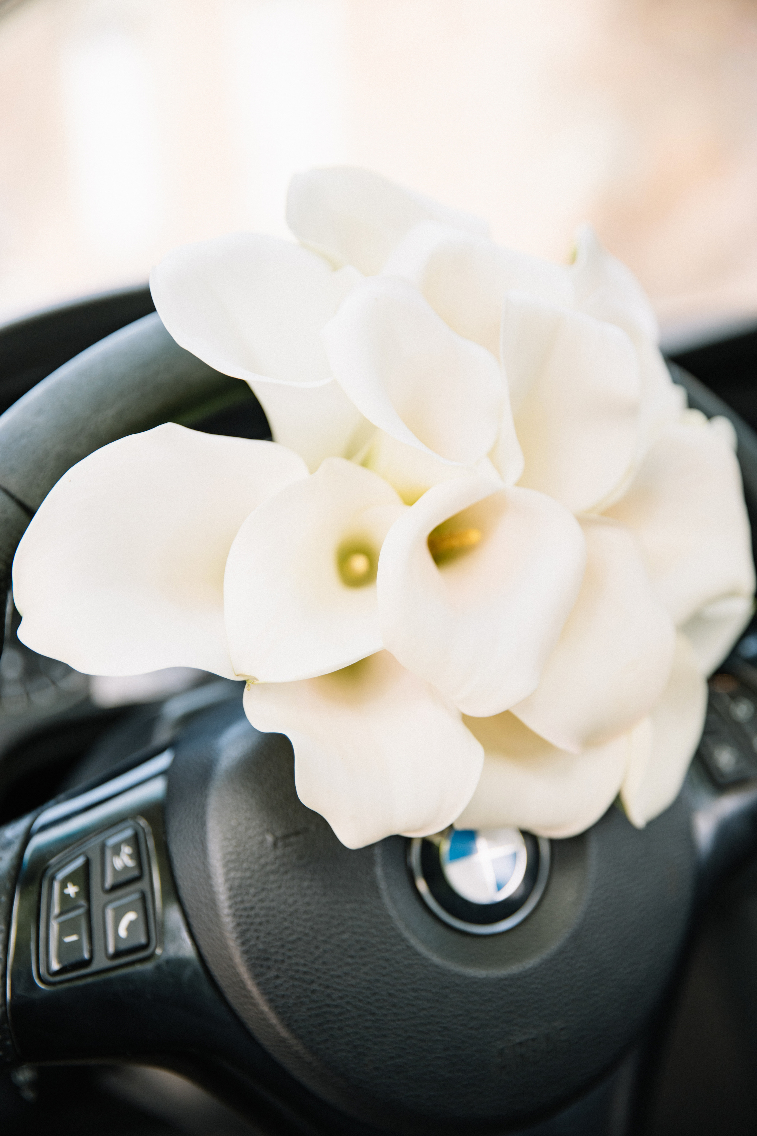 Анастасия и Владислав. Свадебный и семейный фотограф Егорова Юлия