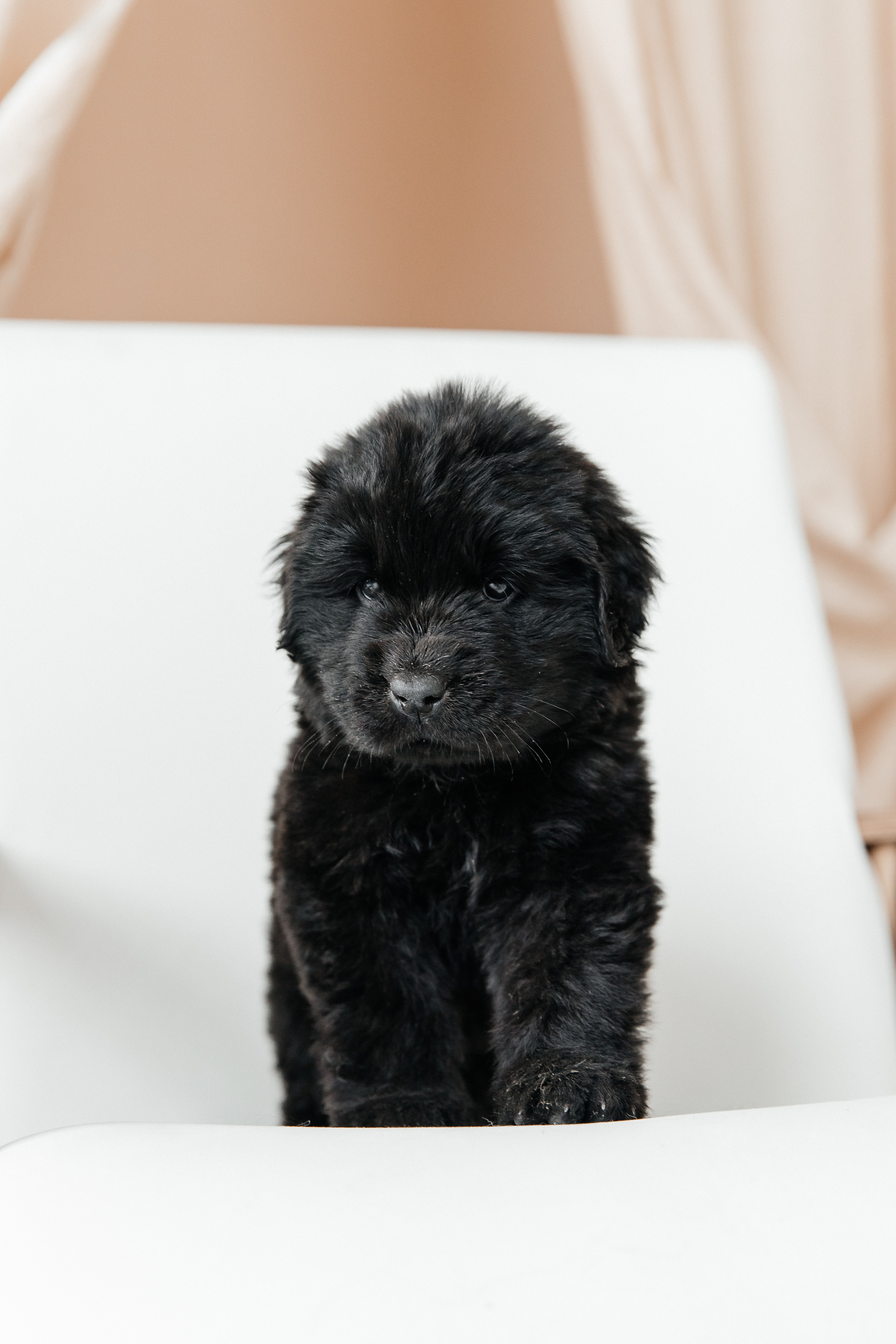 Эля. Свадебный и семейный фотограф Егорова Юлия