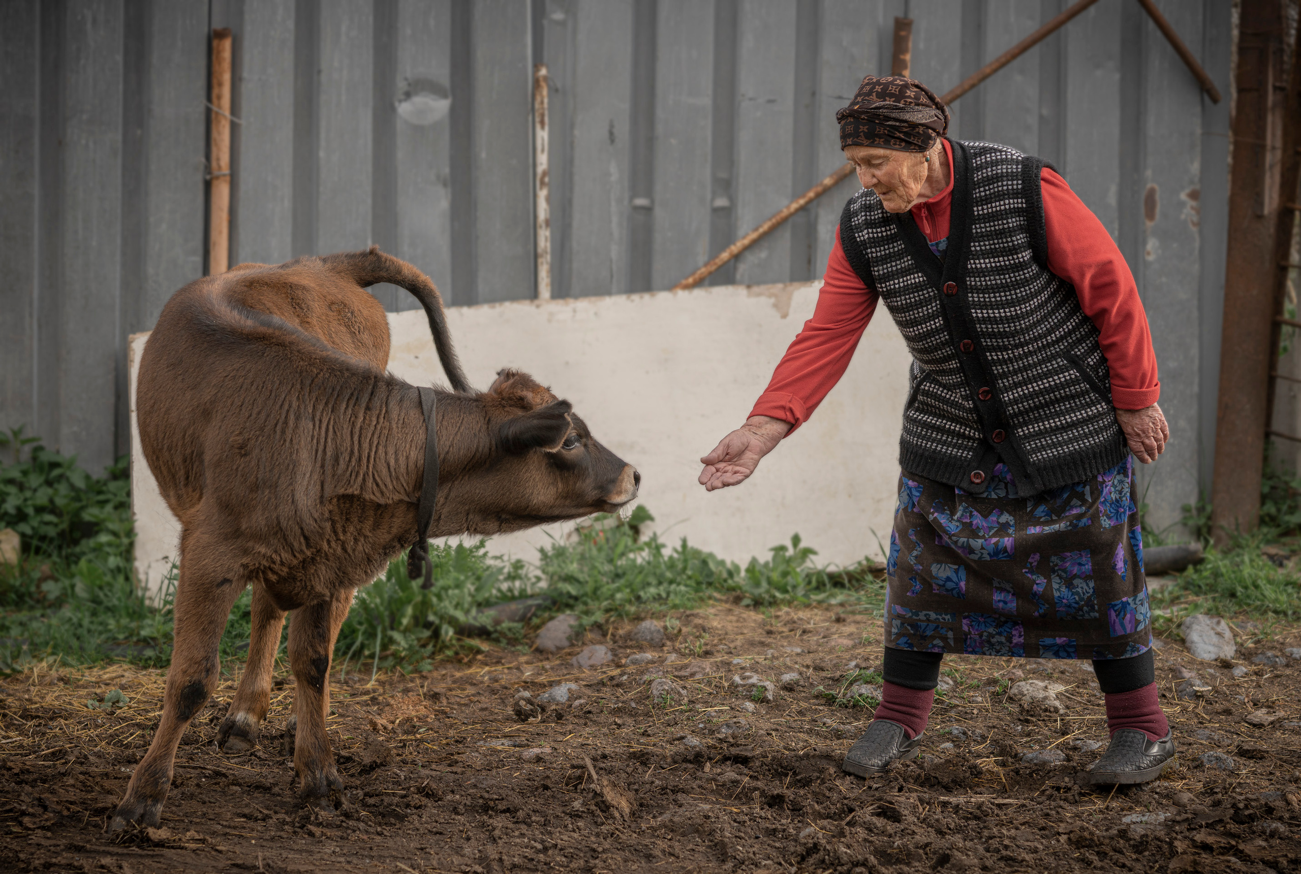 Балкария (июнь 2023). Фотограф Сергей Танков