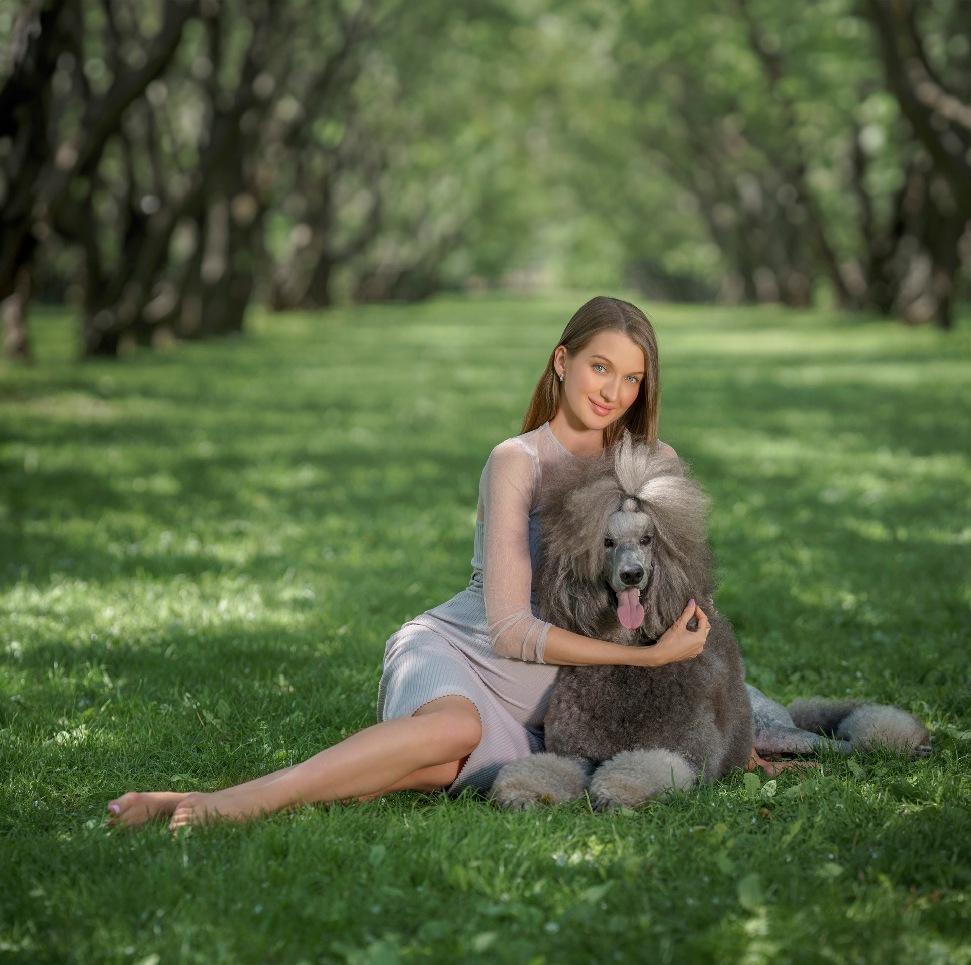 Яблони. Фотограф Сергей Танков