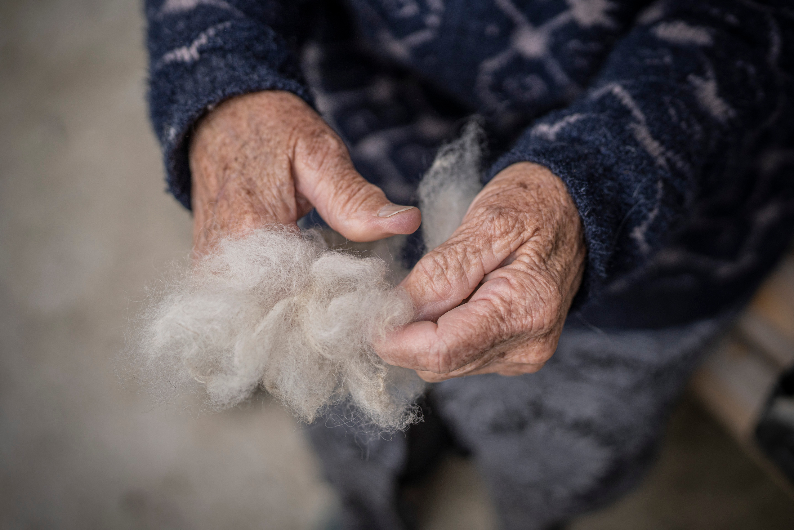 Балкария (июнь 2023). Фотограф Сергей Танков