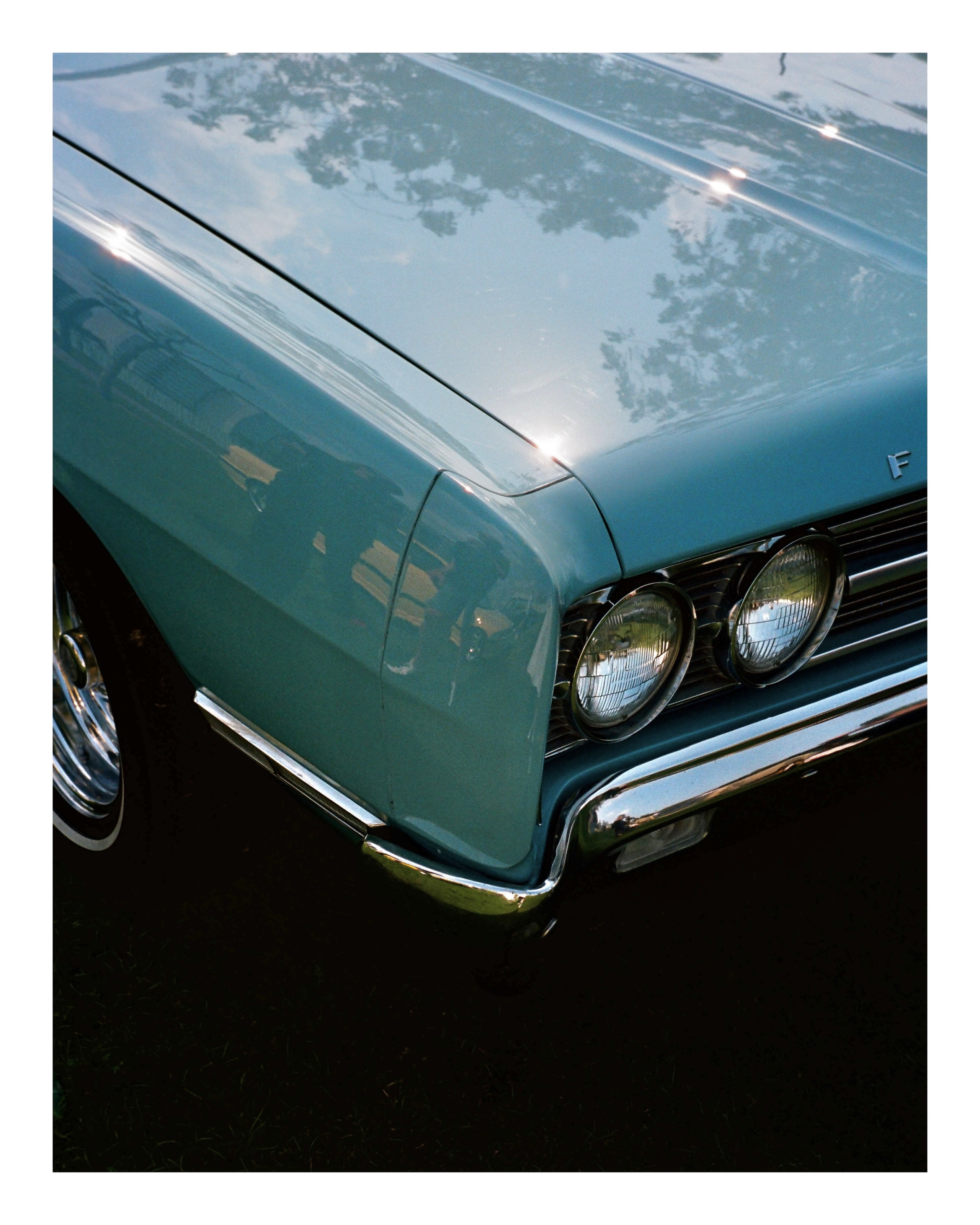 The Grand Picnic (35мм). Katyavasileva