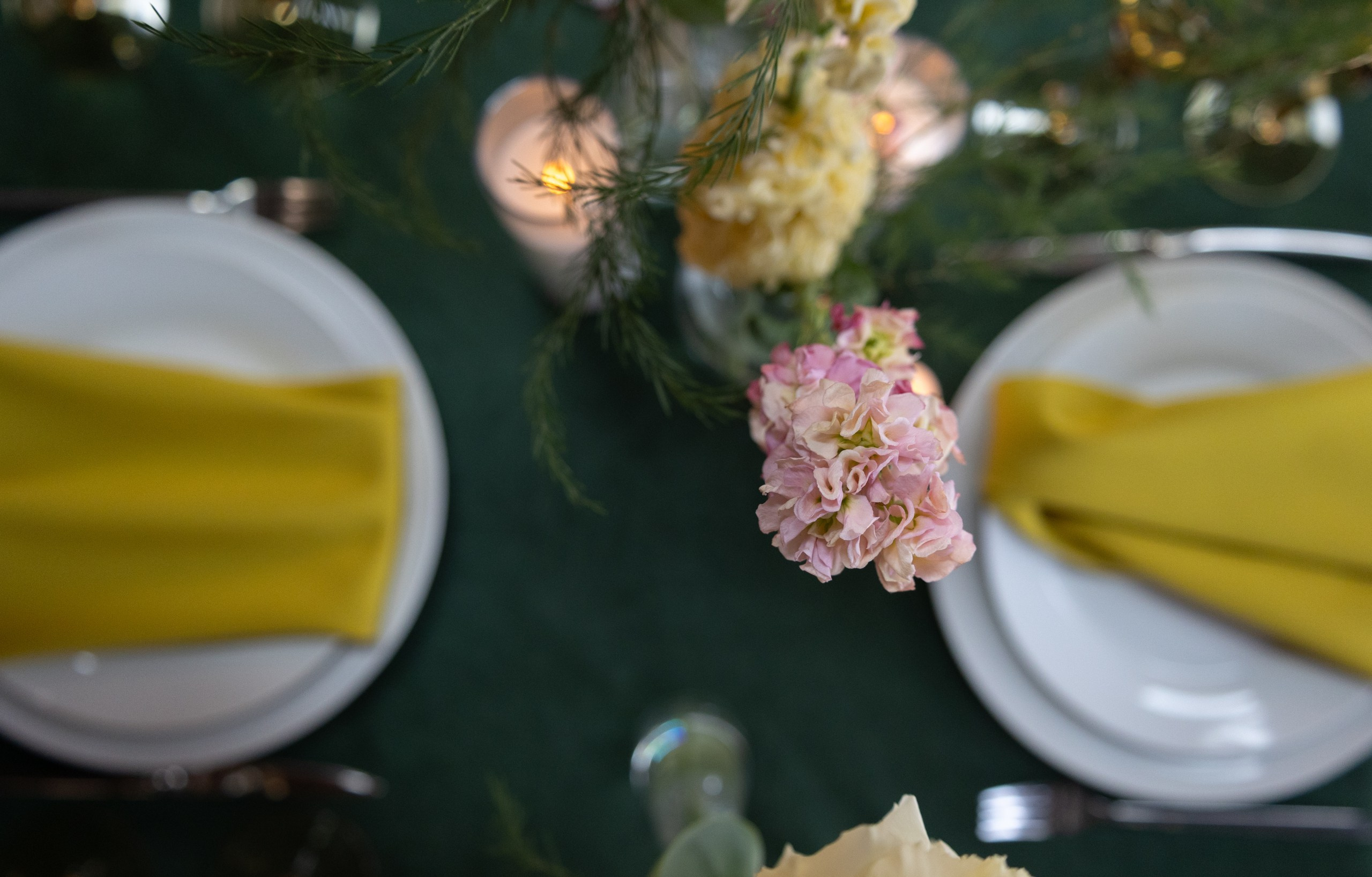 Дмитрий и Екатерина. Студия событий ДЕЙЗИ. Организация мероприятий. Свадебное агентство в Ростове-на-Дону. Свадебный организатор. Организация свадьбы под ключ