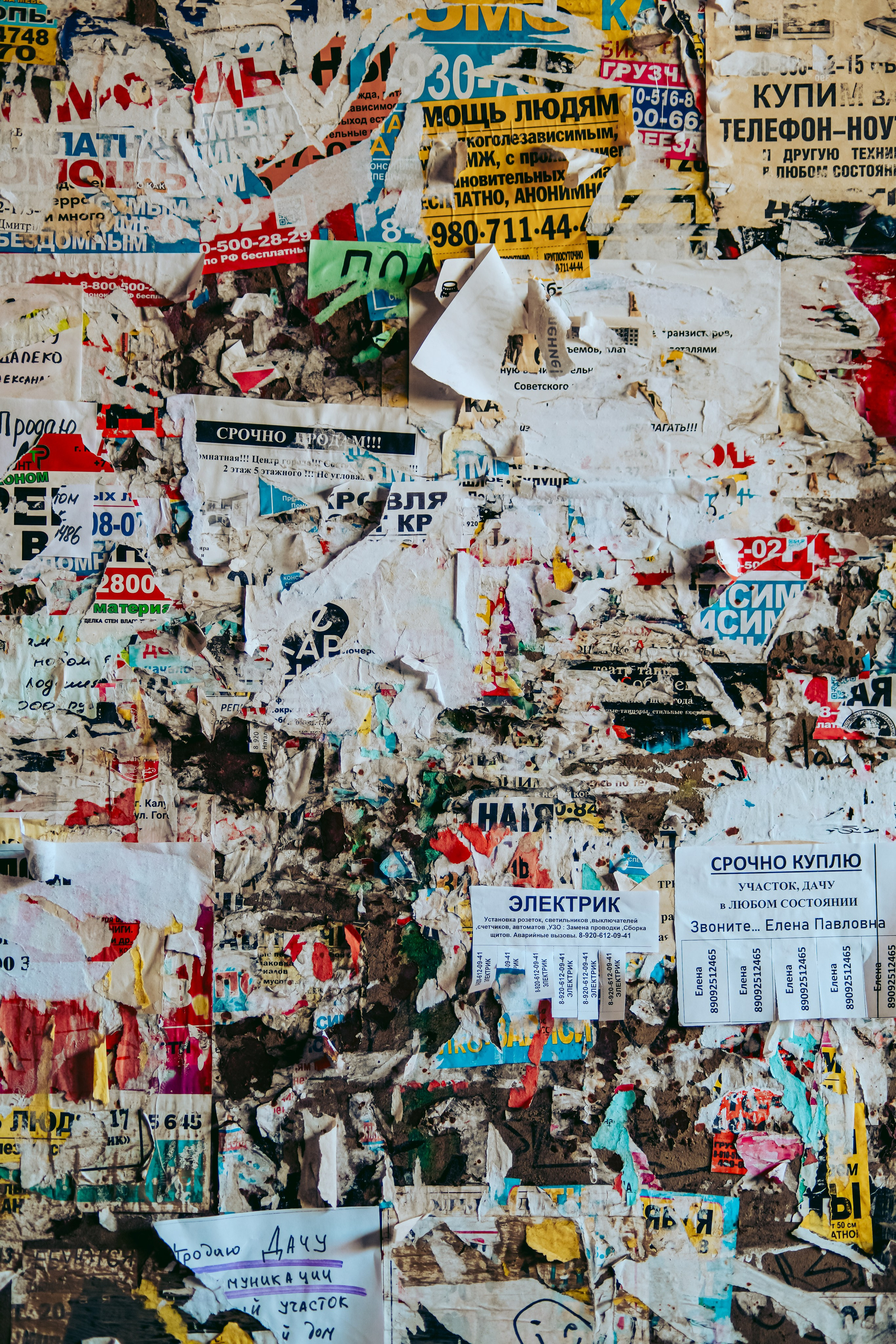 Одиночные. Фотограф Кузнецов Егор Липецк