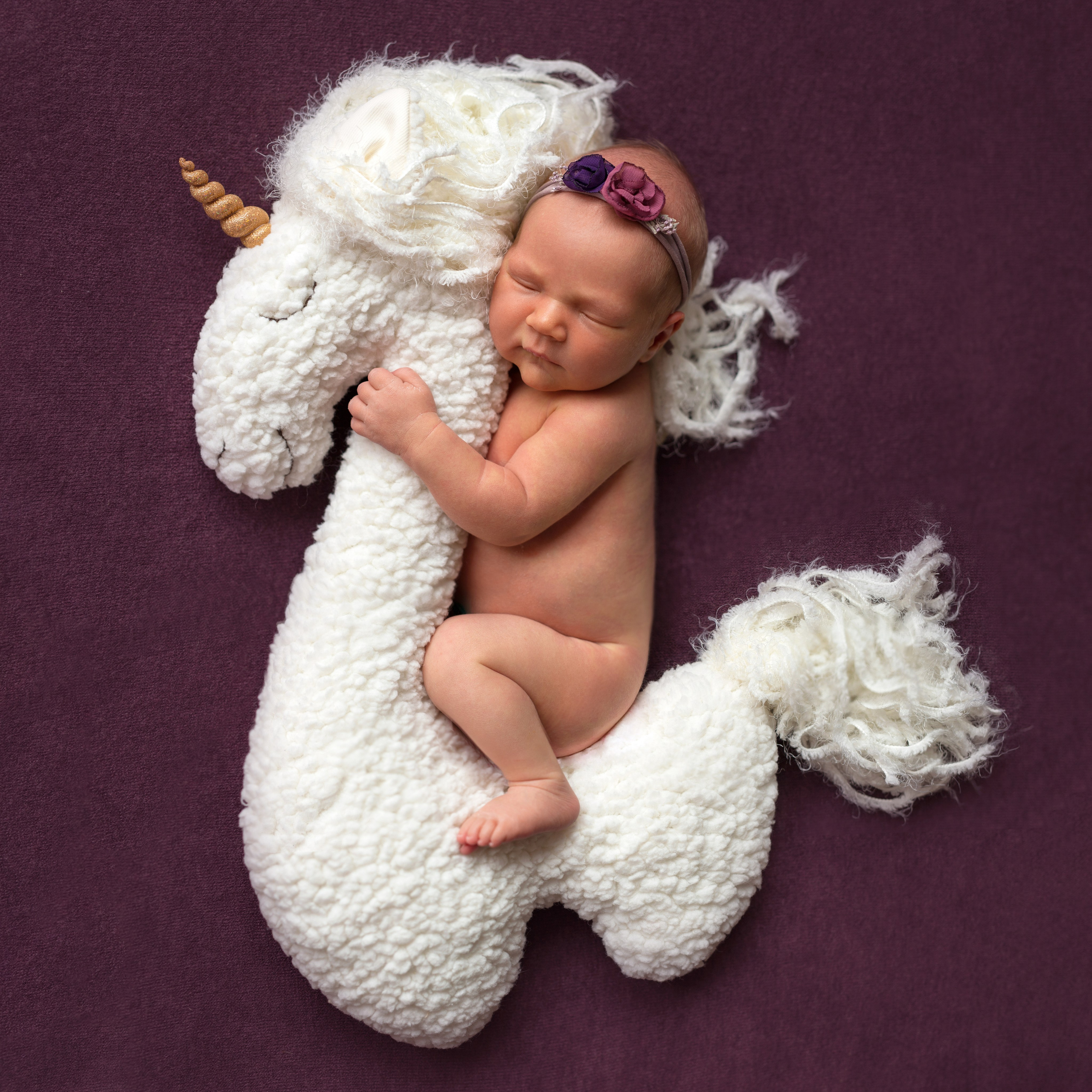 Newborn ДЕВОЧКИ. Фотограф новорожденных в Новосибирске