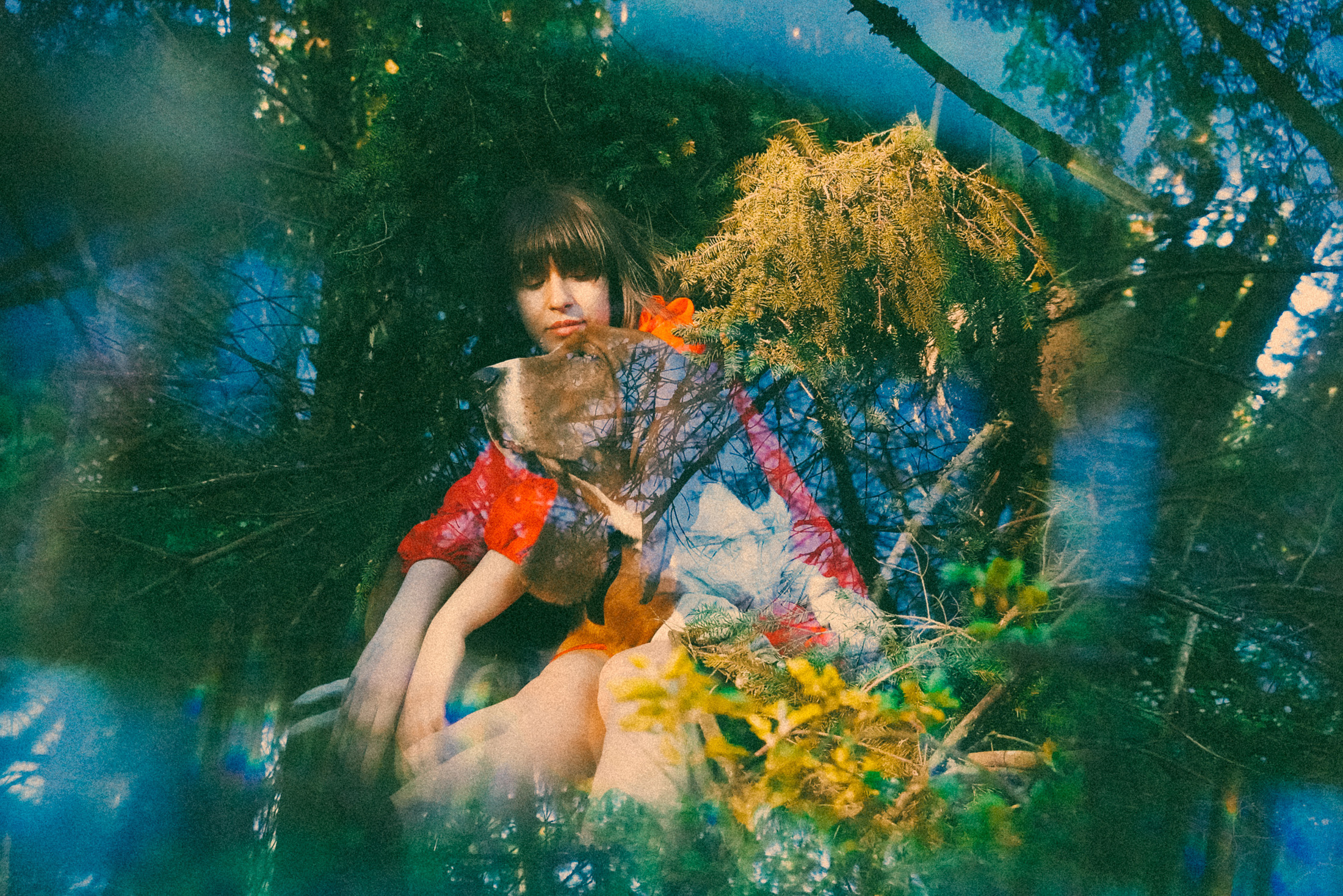 Связь. Алиса Аницкая