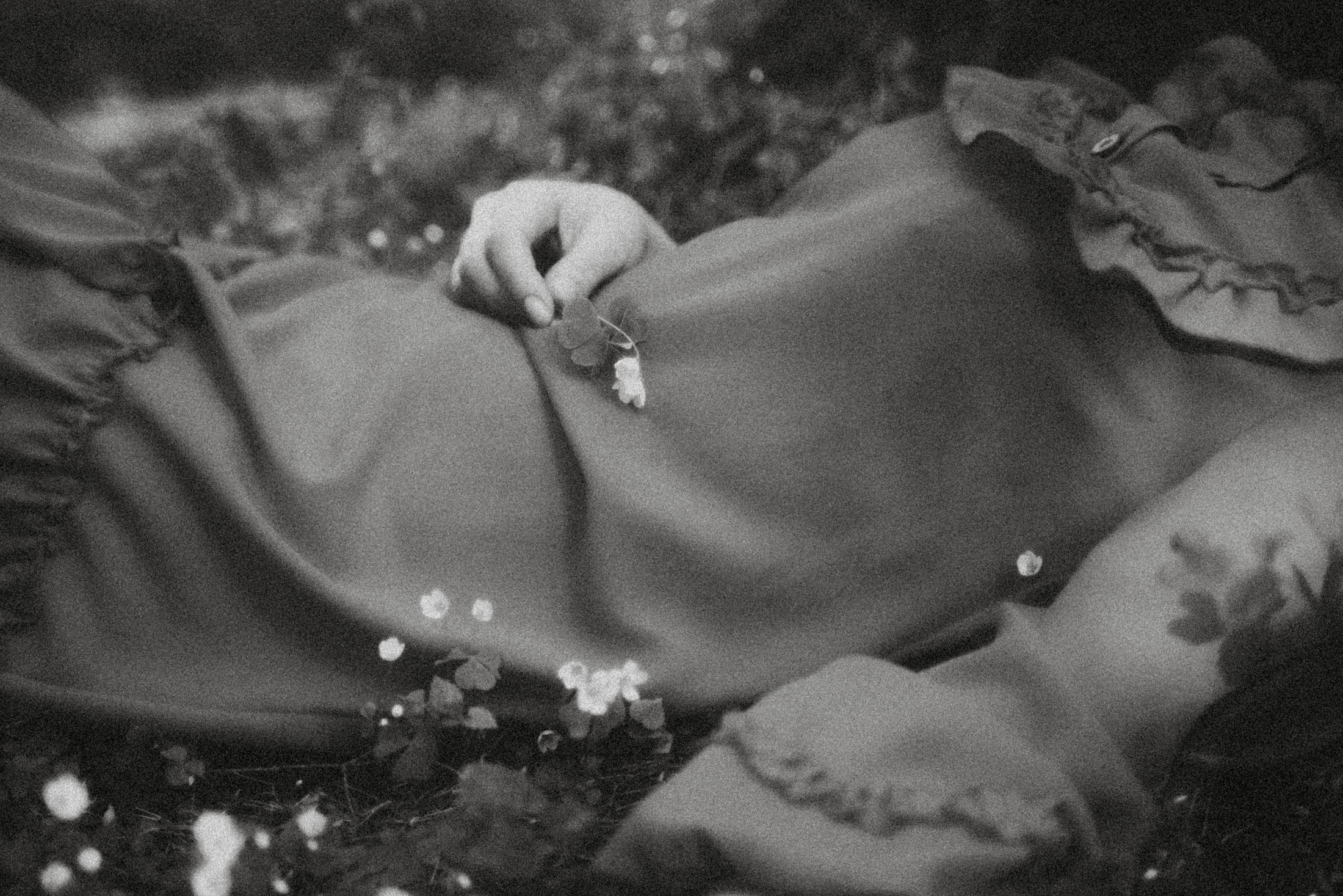 Связь. Алиса Аницкая