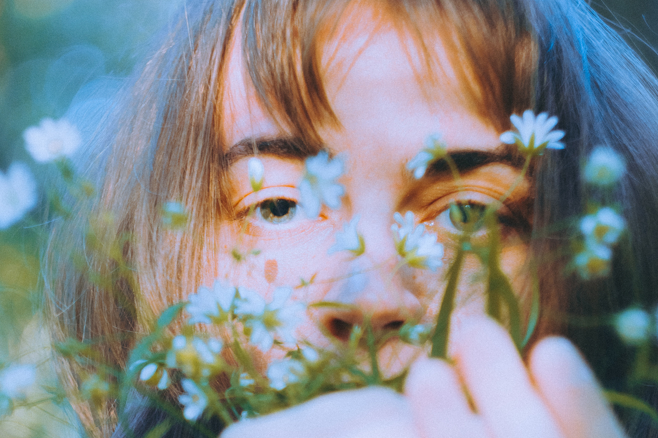 О птицах сказки. Алиса Аницкая