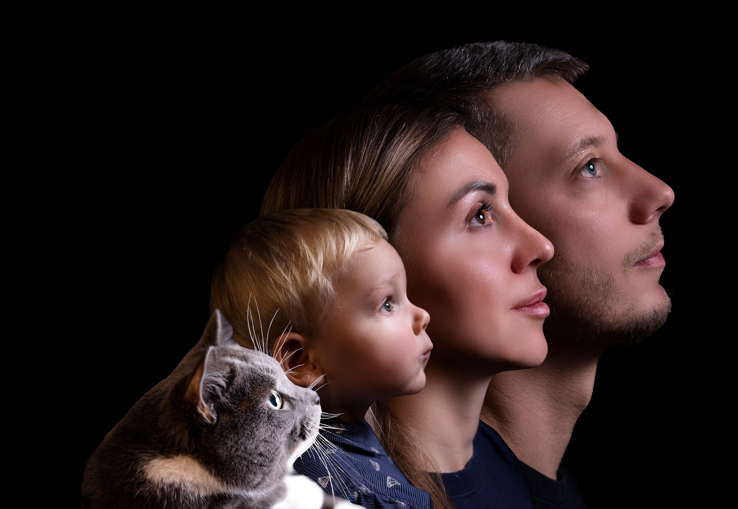 Семейный Портрет. Главная