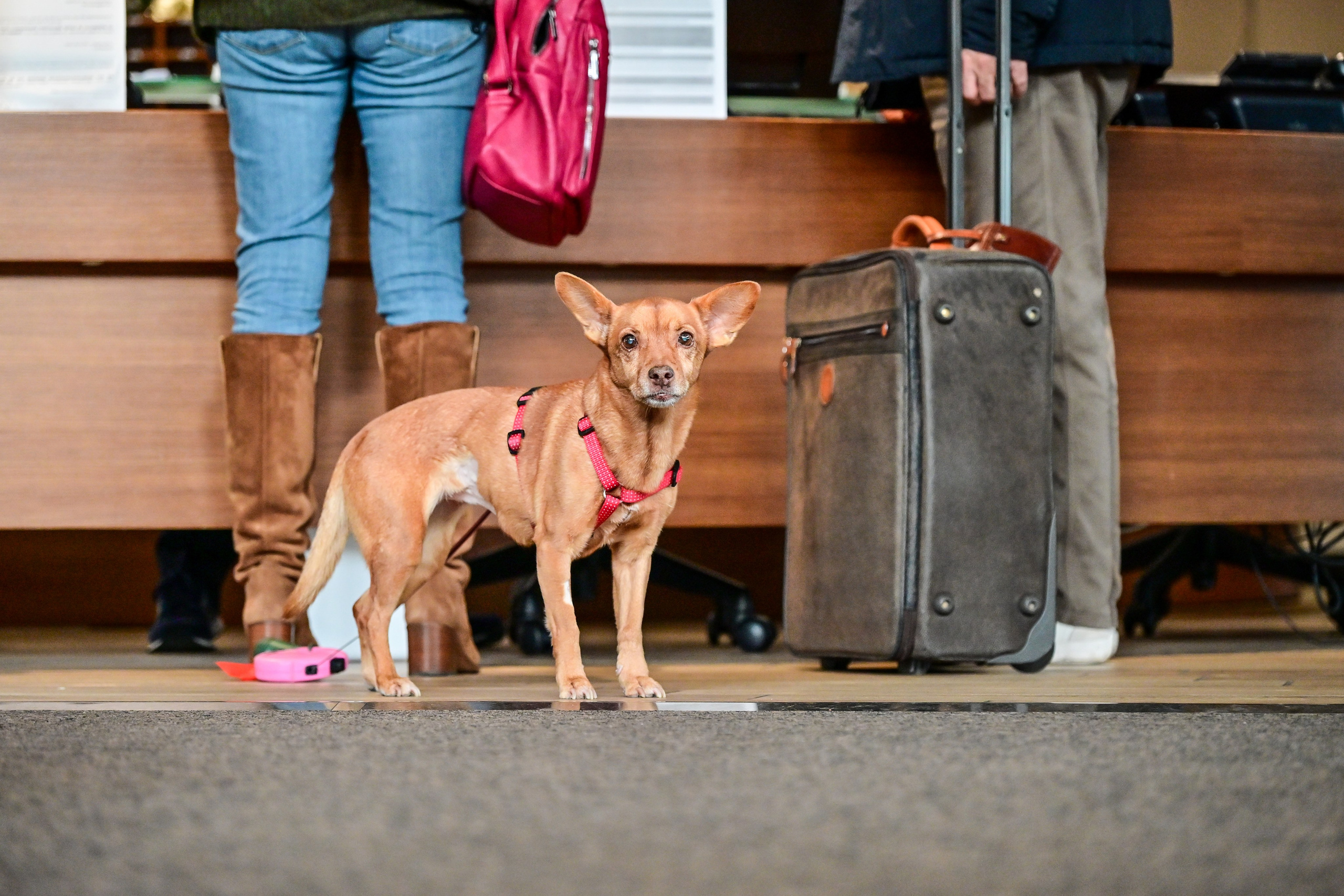 Lago d'iseo and hotel. Фотограф Минск