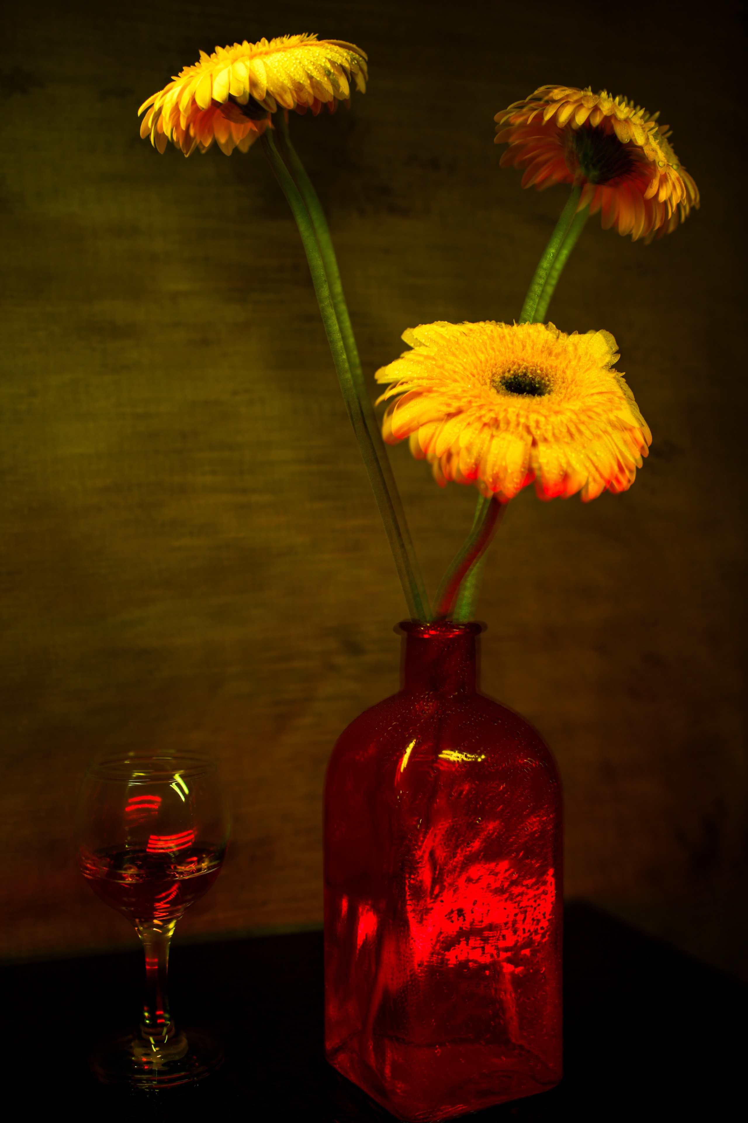 Природа &. Фотохудожник в СПб