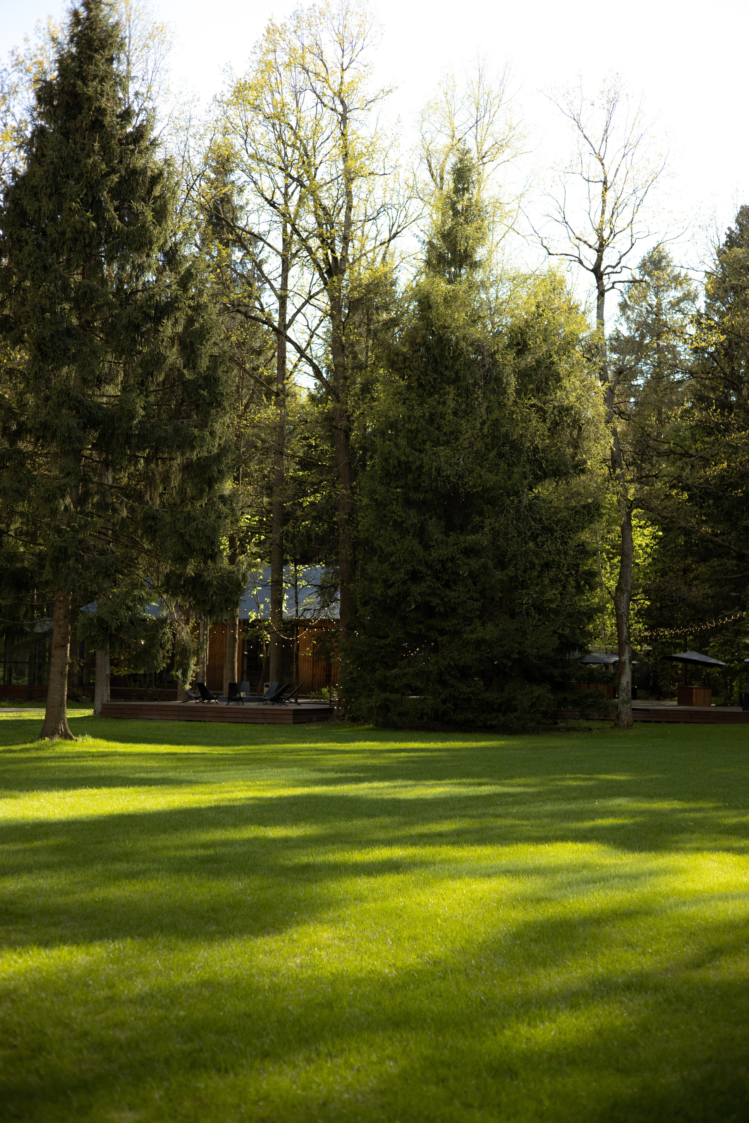 Анастасия & Никита. Оформление свадеб, декор свадеб Вера Маркова, Москва