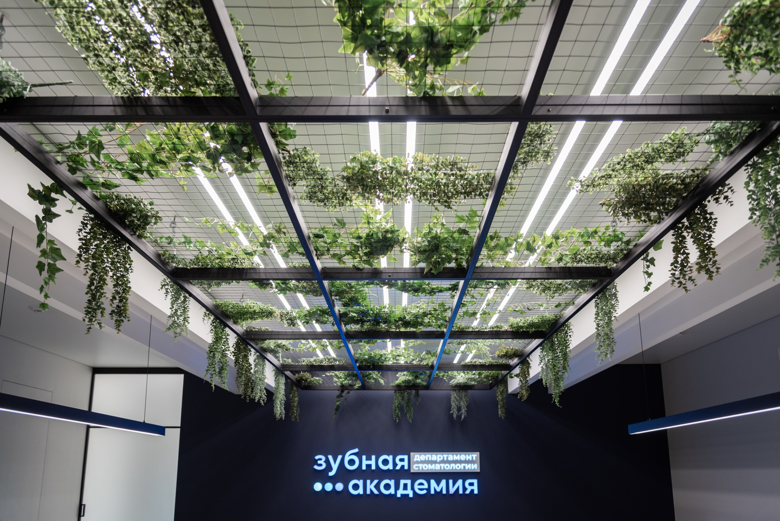 Зубная Академия | 2024. Архитектурный фотограф и 3D-художник Антон Мельников