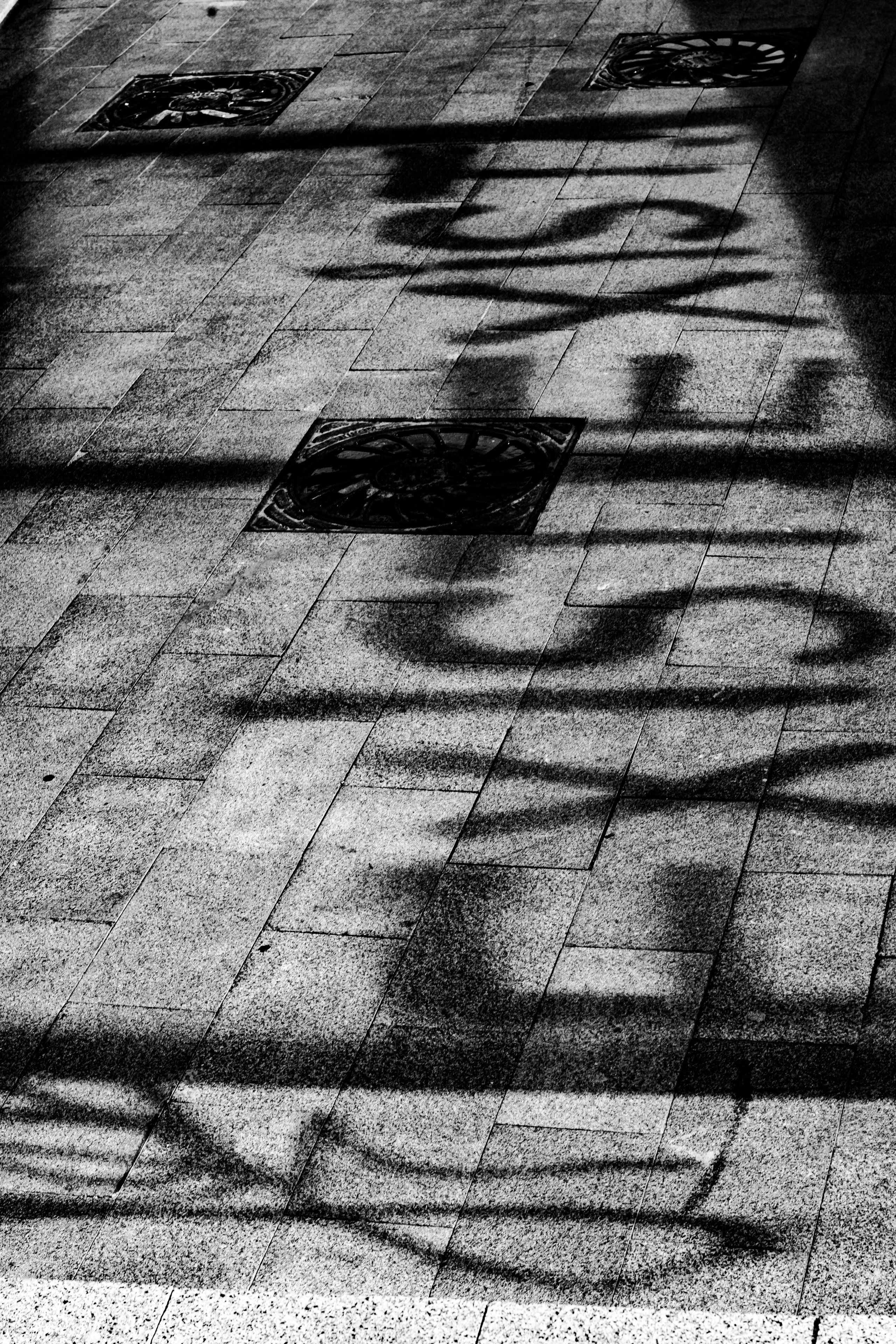 II. Стас Привалов