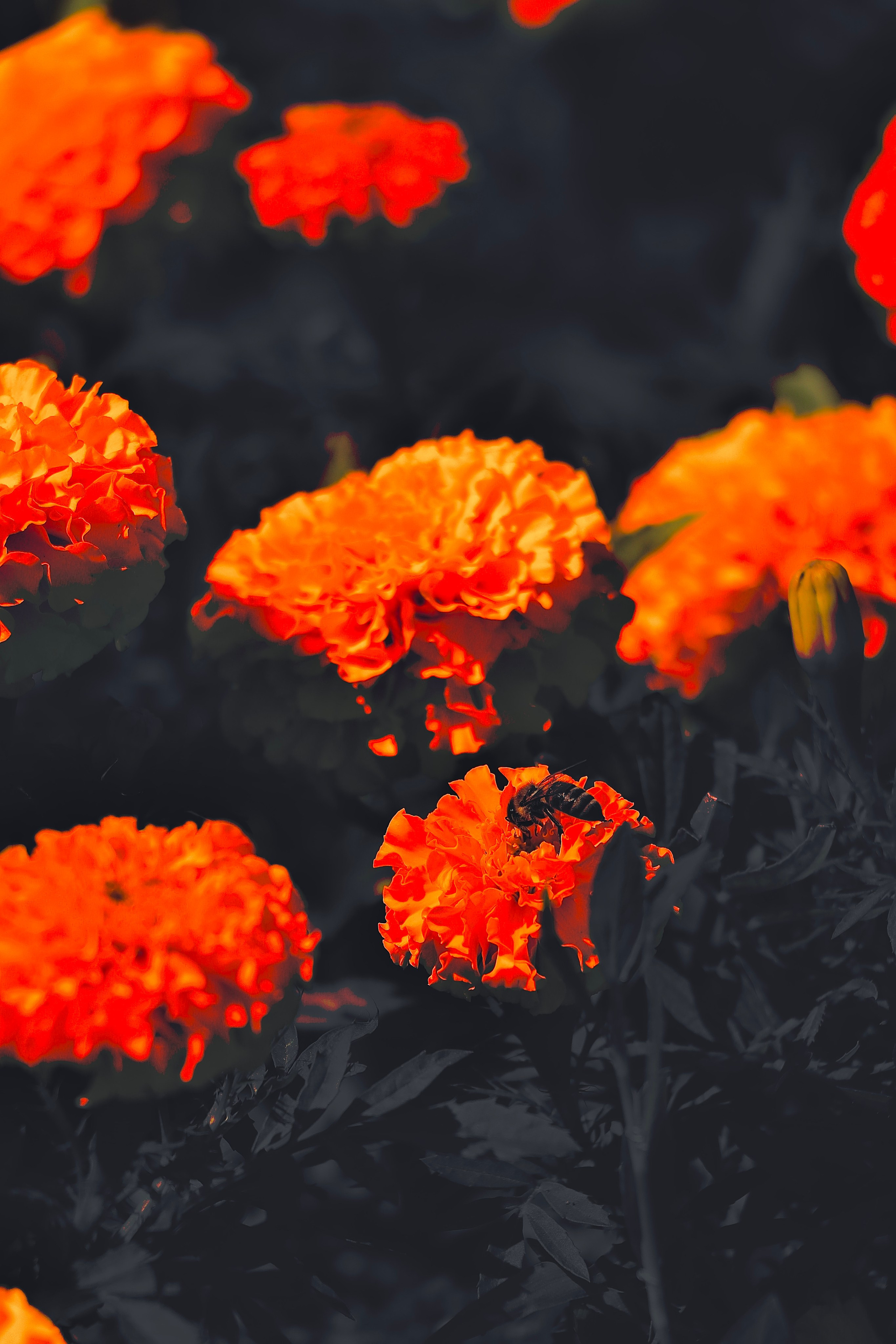 Пейзажи и прочее