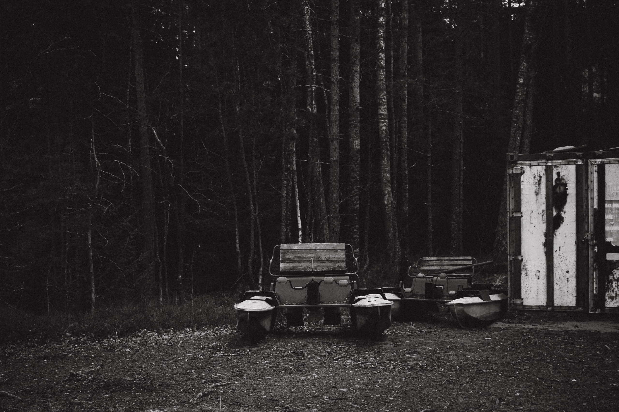 Лес и абстрактность. Портретный фотограф DanilNabody