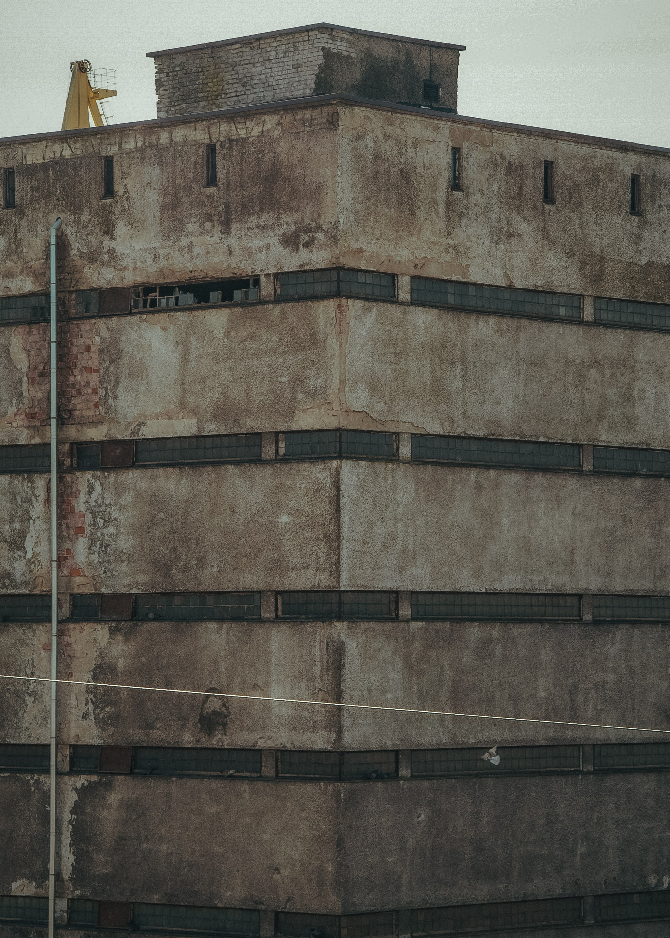 Выборг. Портретный фотограф DanilNabody