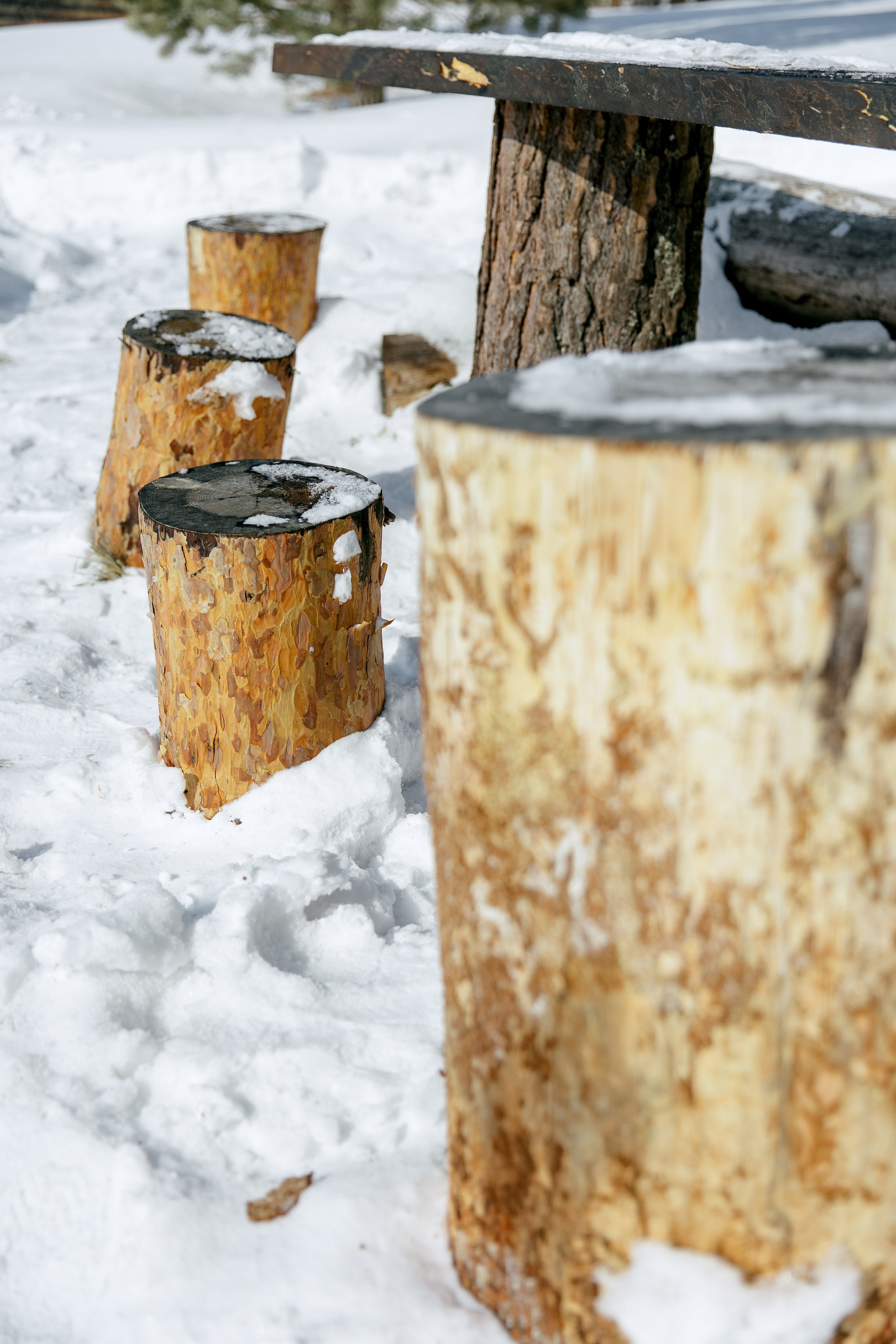 ДЕНЬ ДОЖДЕНИЯ ЕКАТЕРИНЫ. Фотограф в Красноярске
