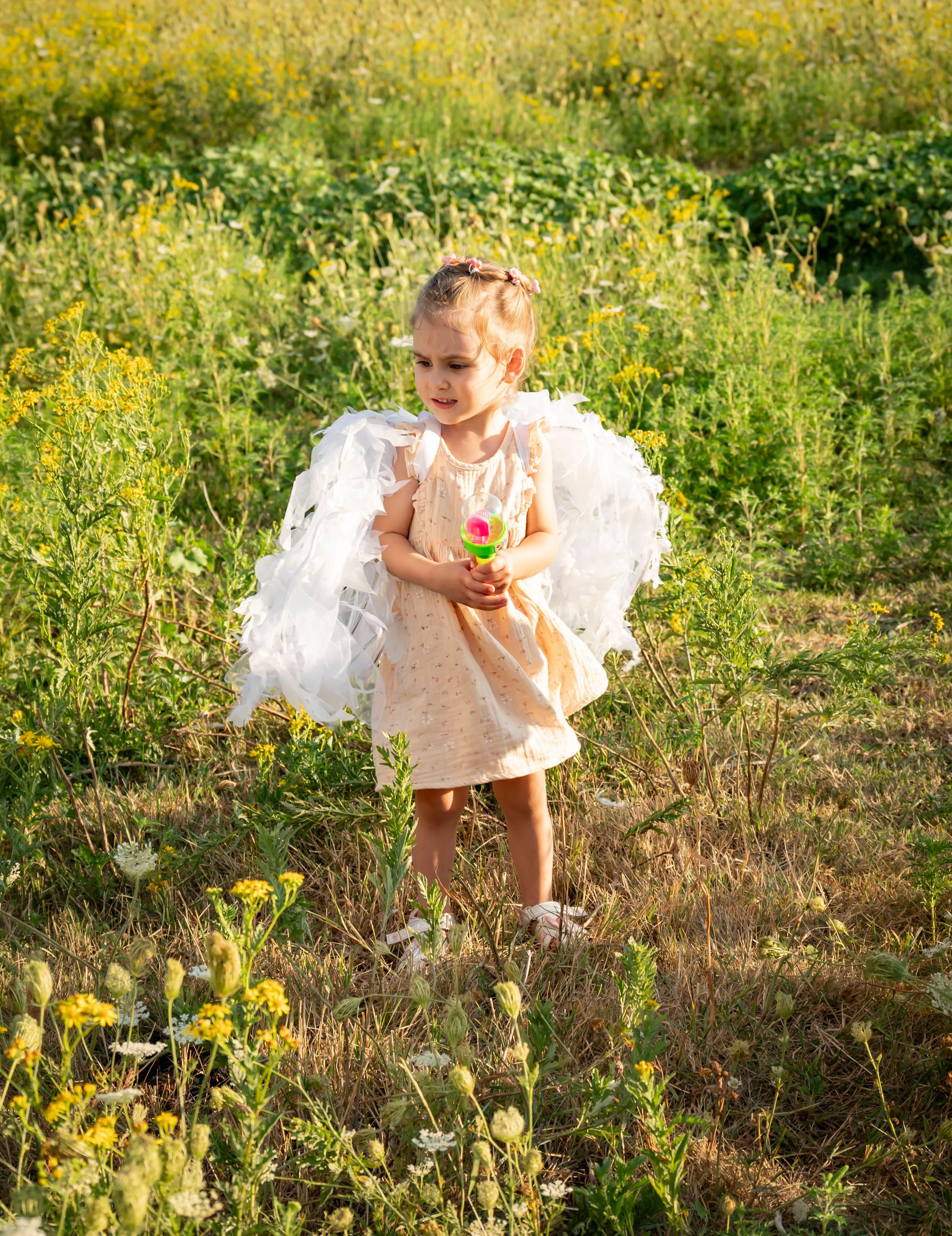 Летняя прогулка. Главная