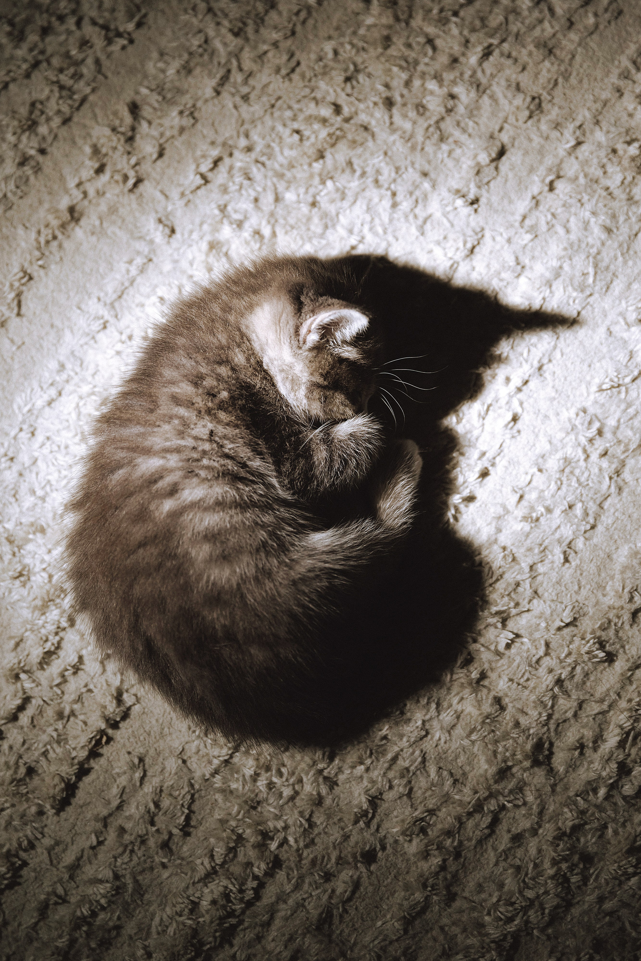 Nastya & Timur. Свадебный фотограф в Севастополе и Крыму| Tanya Sher