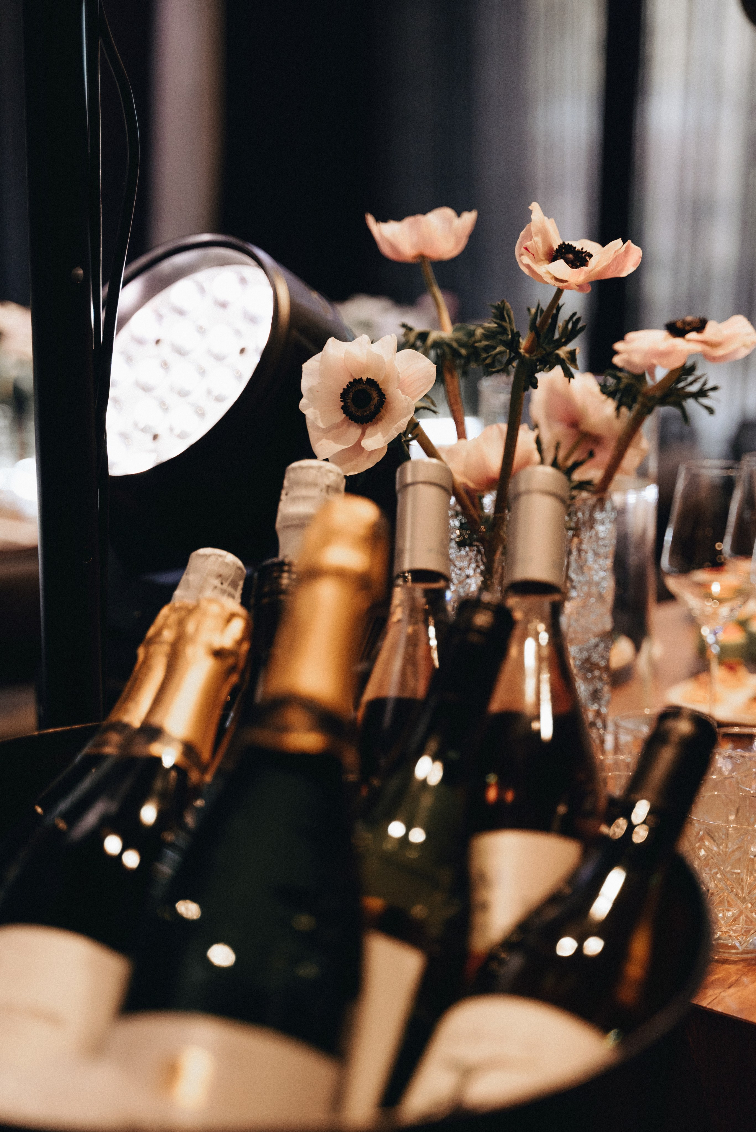 День Рождения в «Чешуе». Екатерина Курбанова. Женский фотограф