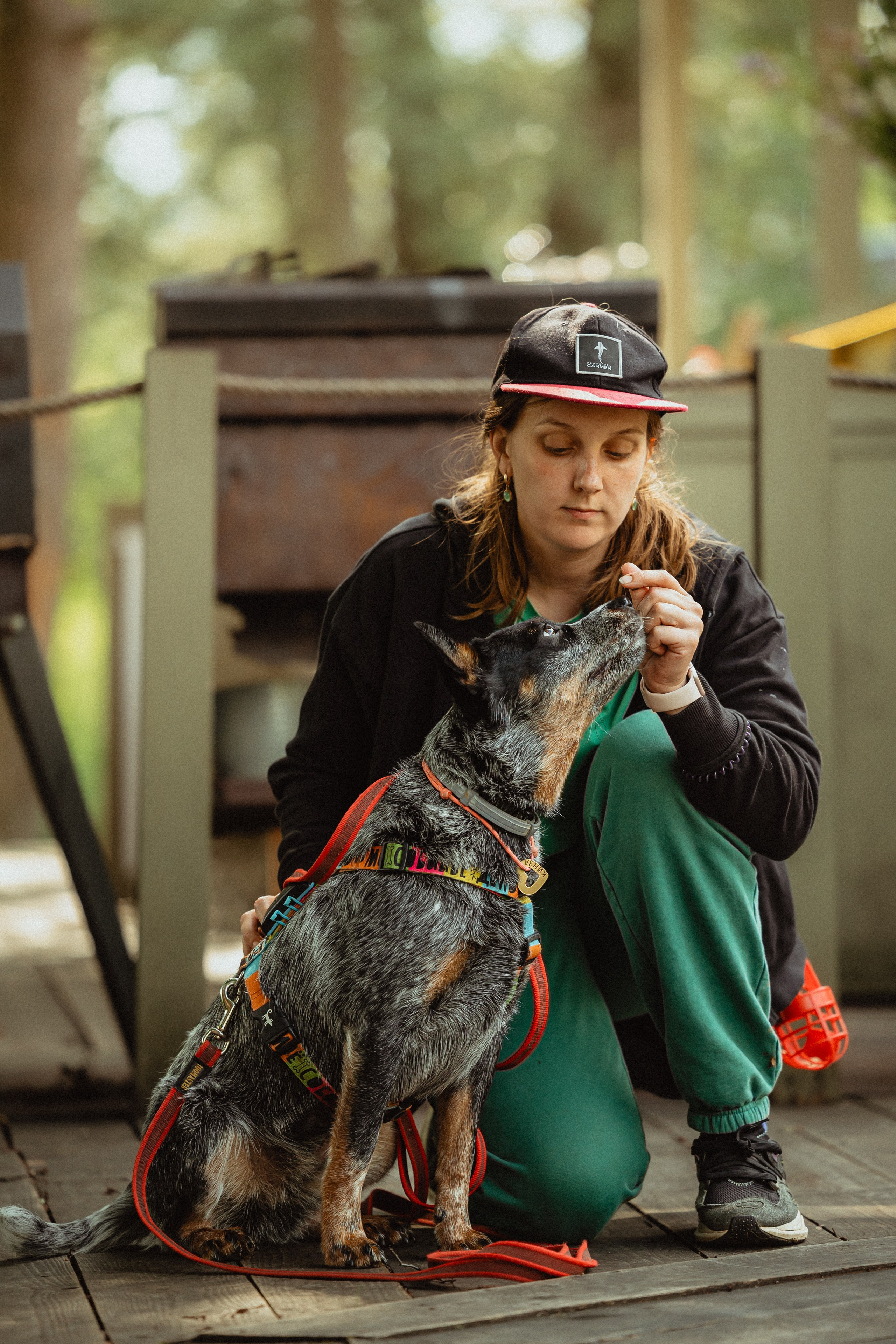 Выездной дог-тренинг от школы «Шерсть имею»