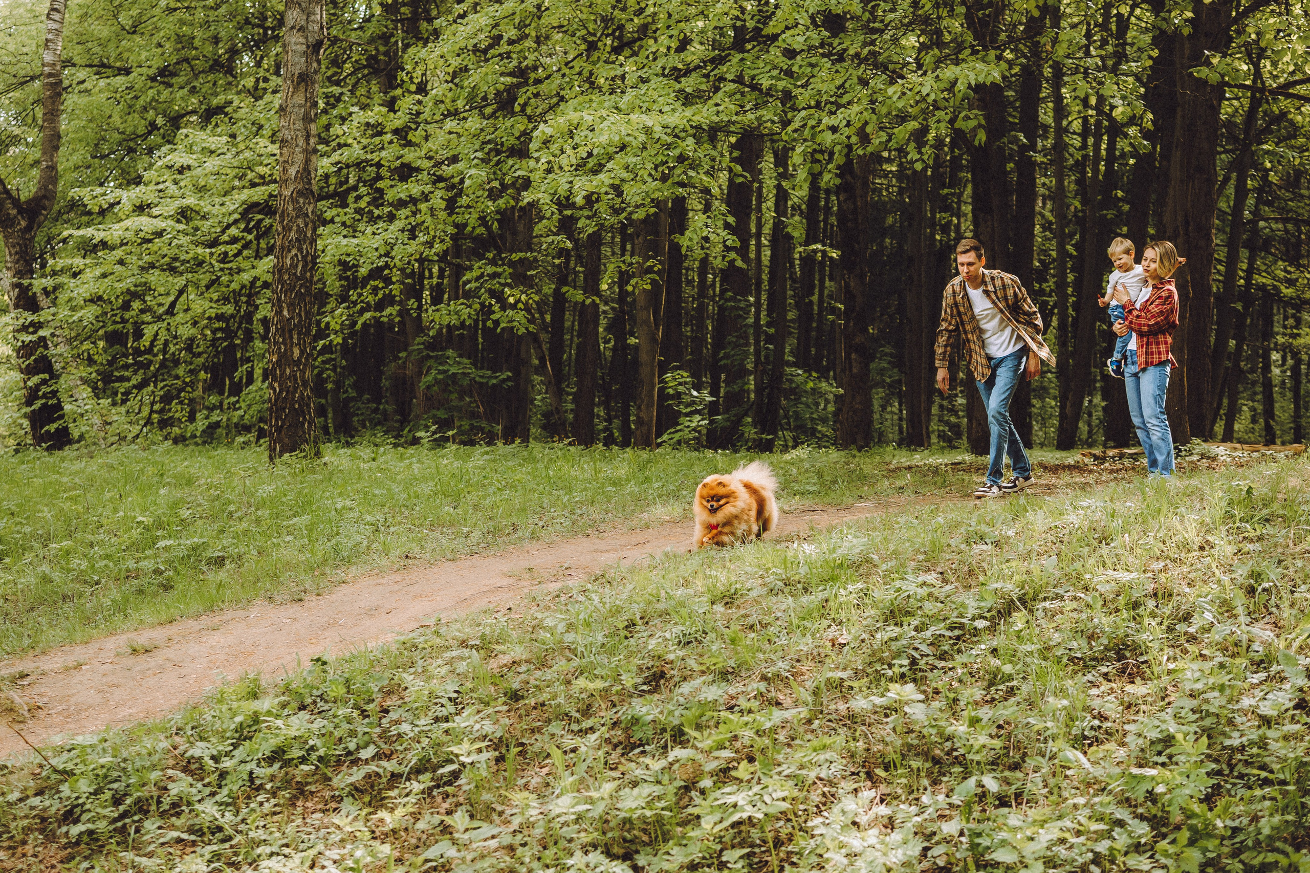 Лорик и его семья