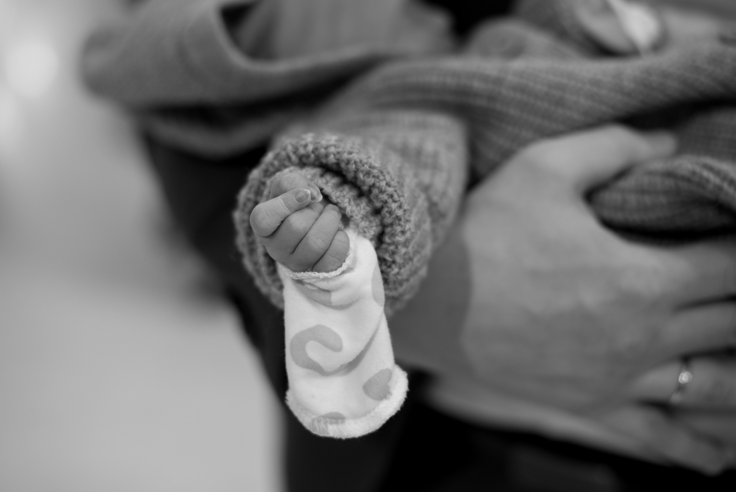 Выписка «Лапино»