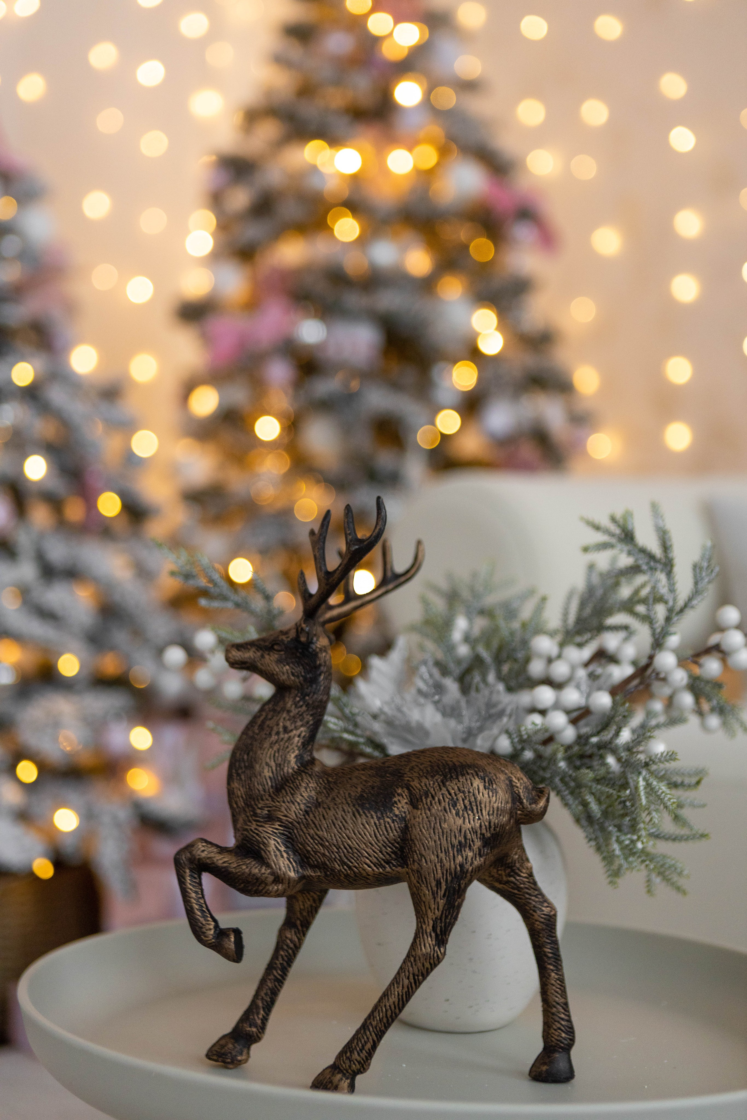 Студия F. Фотограф г. Хабаровск. Семейные и индивидуальные съёмки