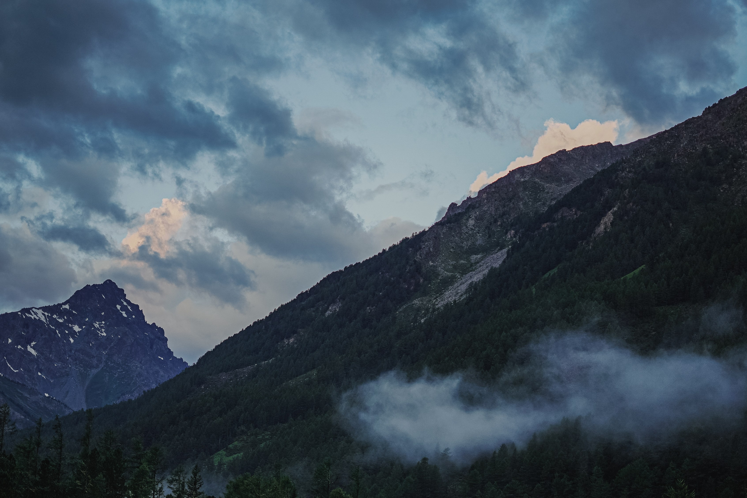 Алтай, поход к Белухе 2023. Фотограф Ольга Пучкова