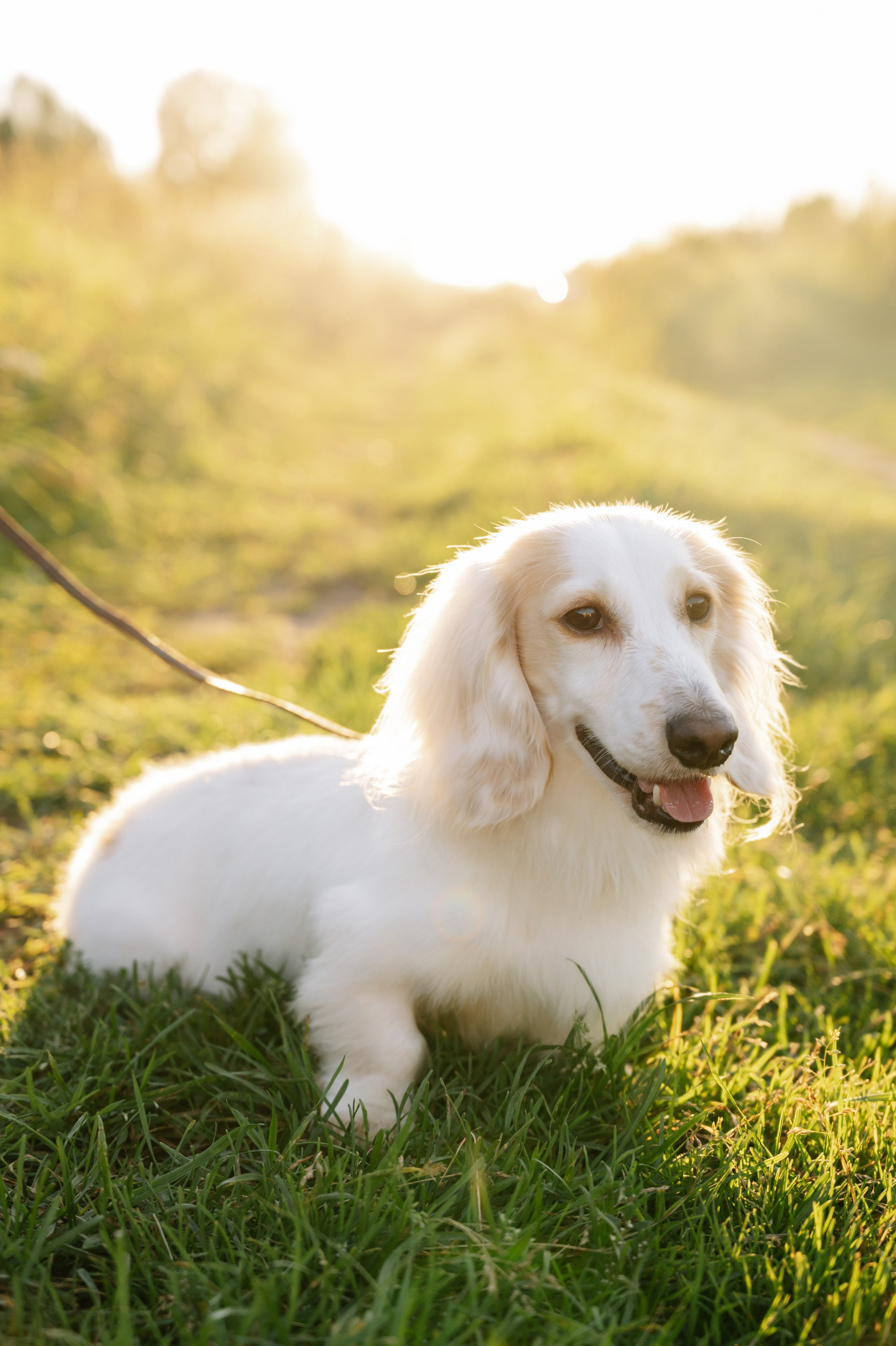 Яна и Паша. Свадебный и семейный фотограф Вероника Холод