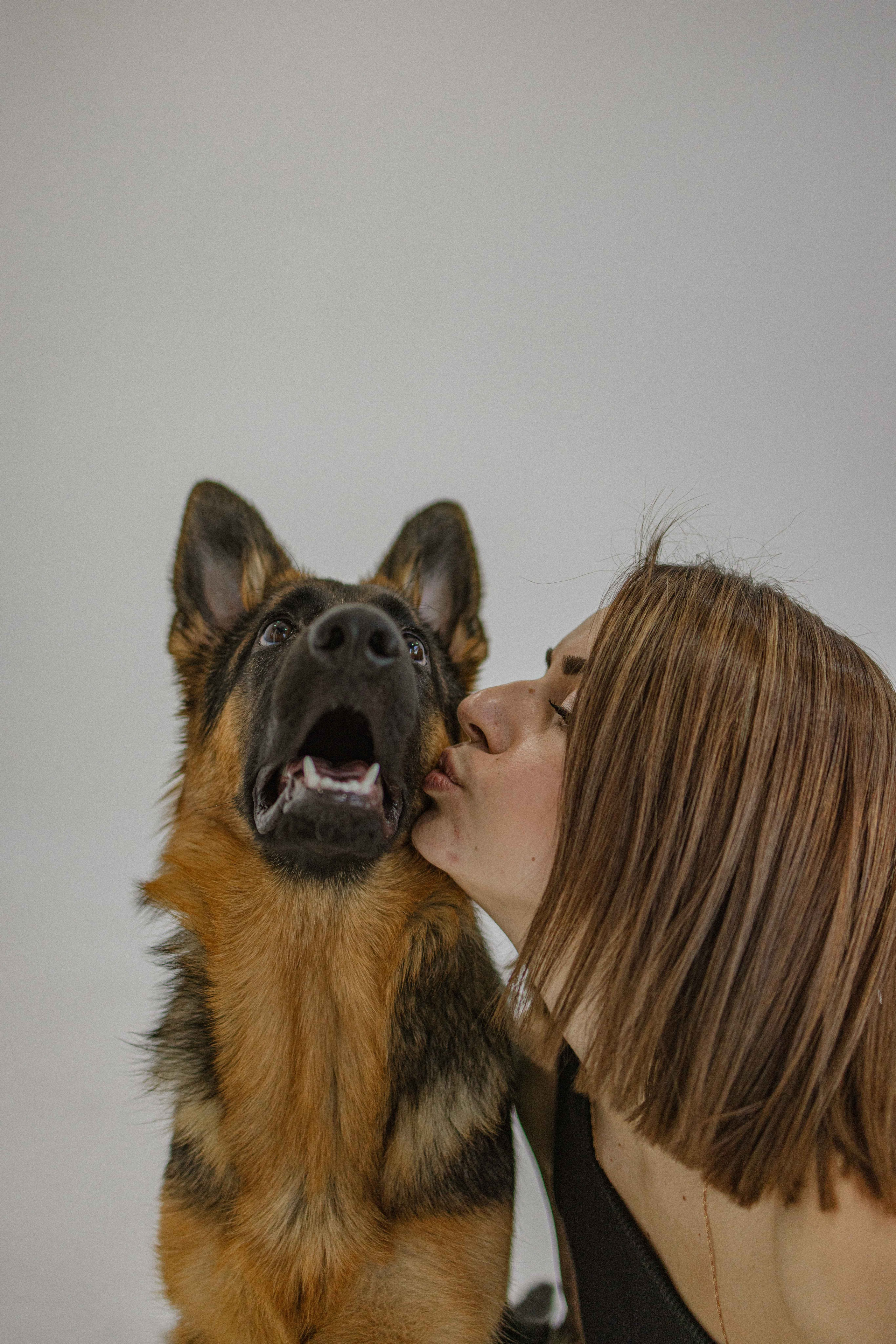 Ася и Буся. Фотограф-анималист в Москве Лера Черноног