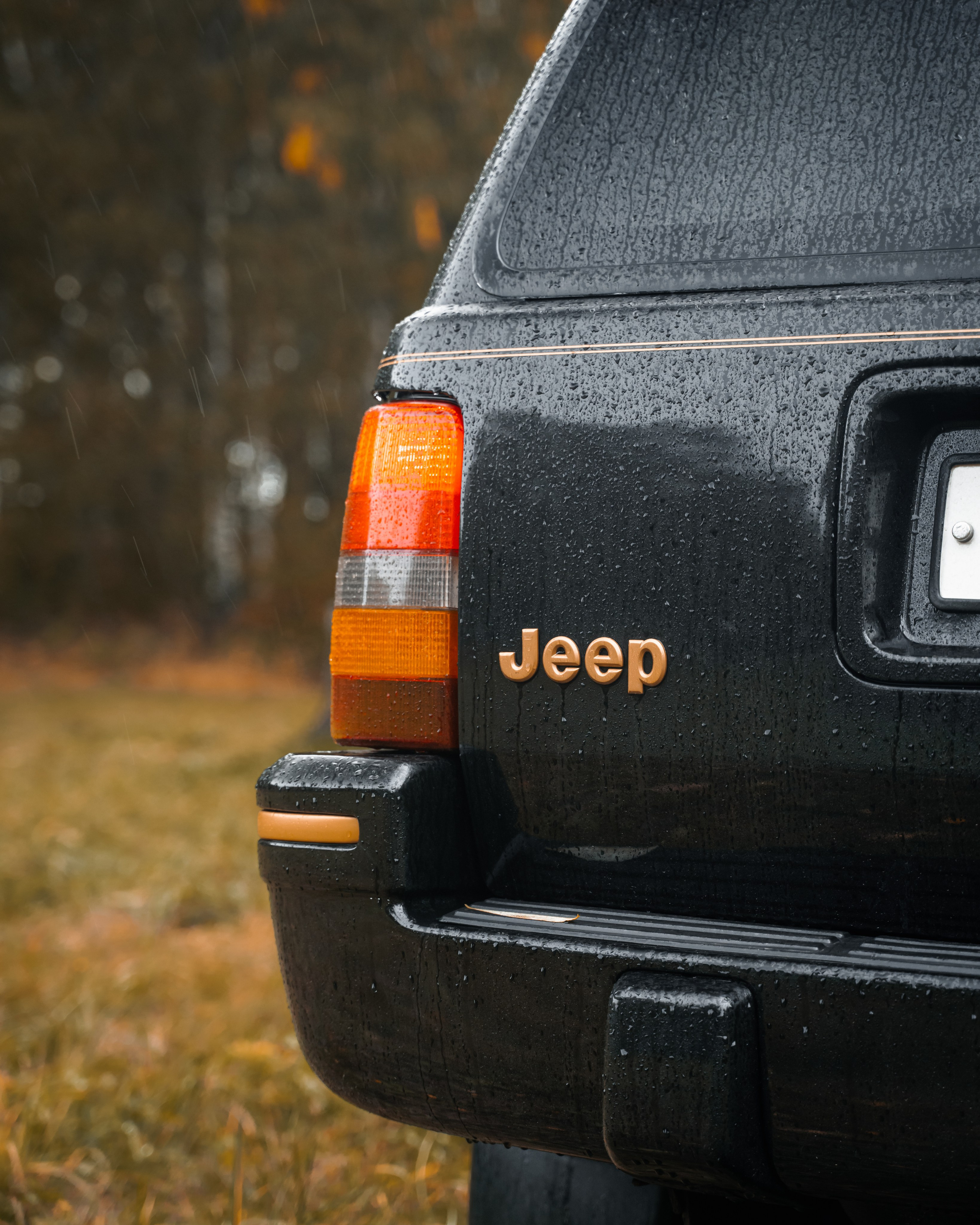 Jeep Grand Cherokee. Vlad Trykov