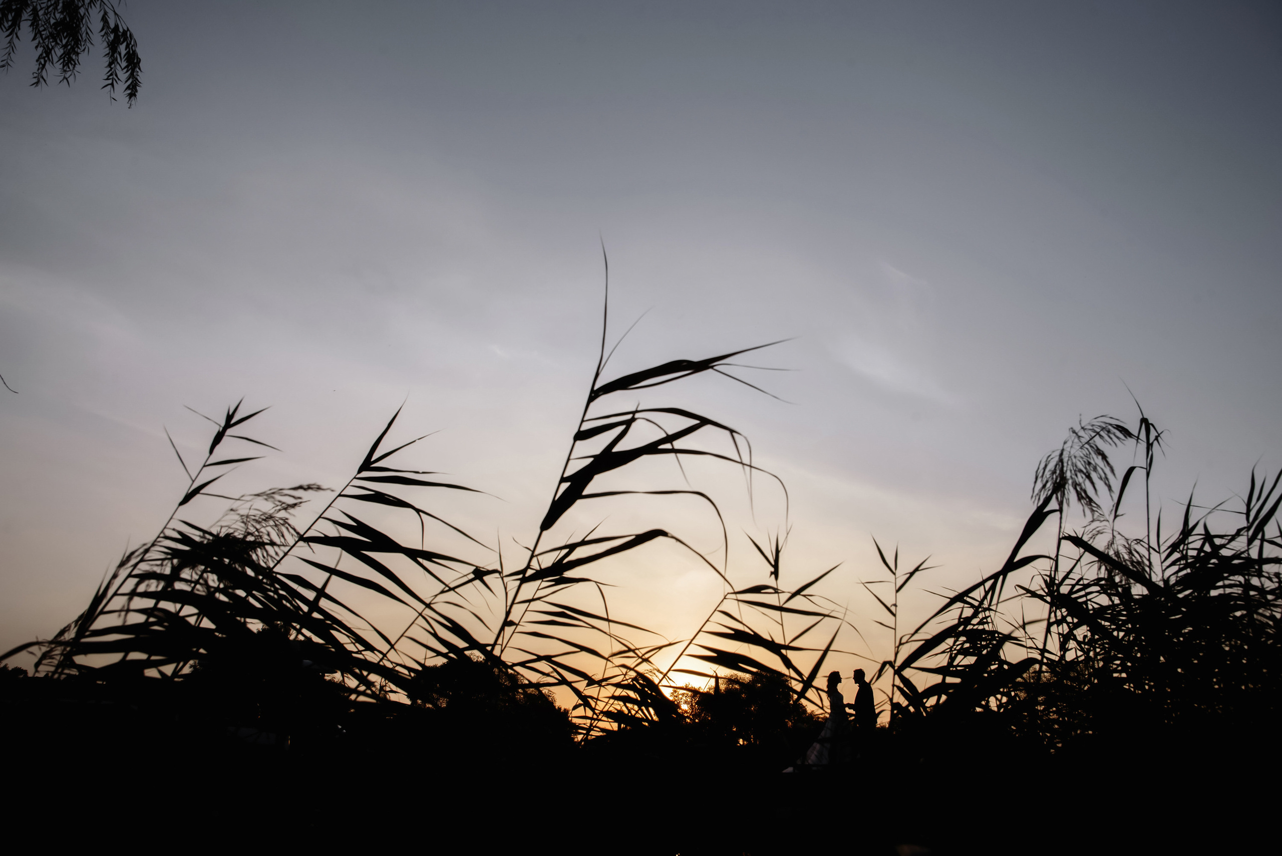 Сергей и Виктория. Свадебный и Event фотограф в Москве | Андрей Губренко | Gubrenko
