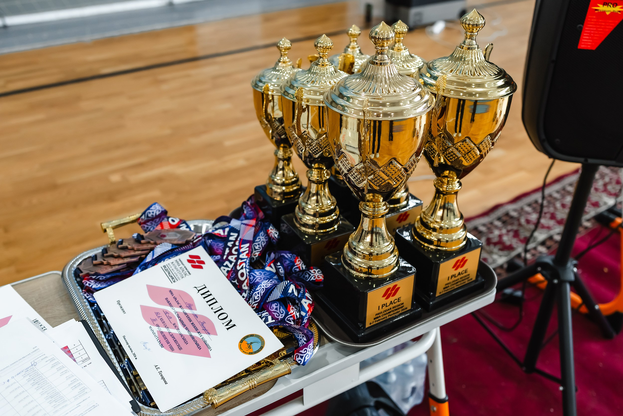 Чемпионат Области по ММА. Кипятком Павлодар