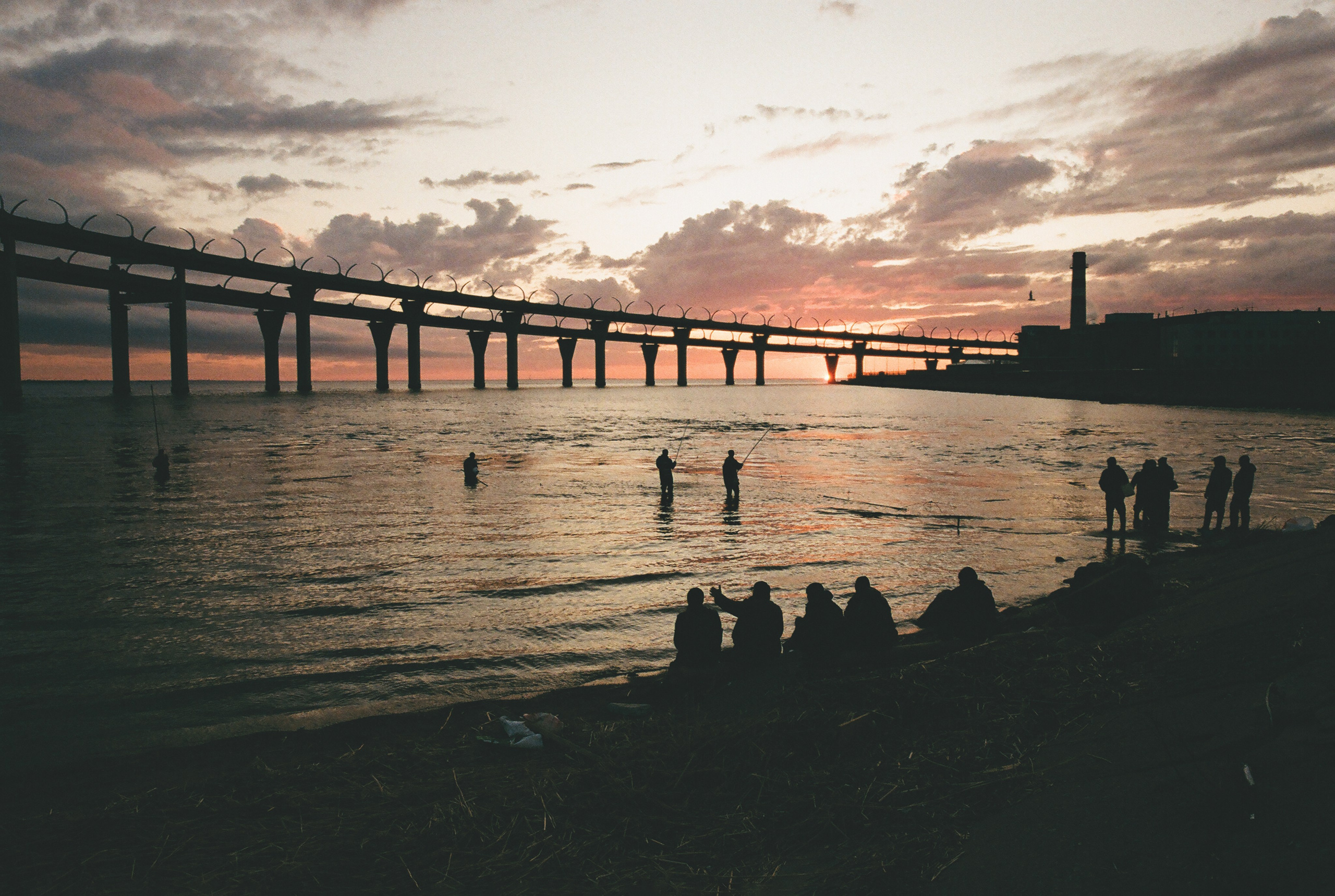 Фотографии цветные. Свадебный и семейный пленочный фотограф в Петербурге Истомина Ирина