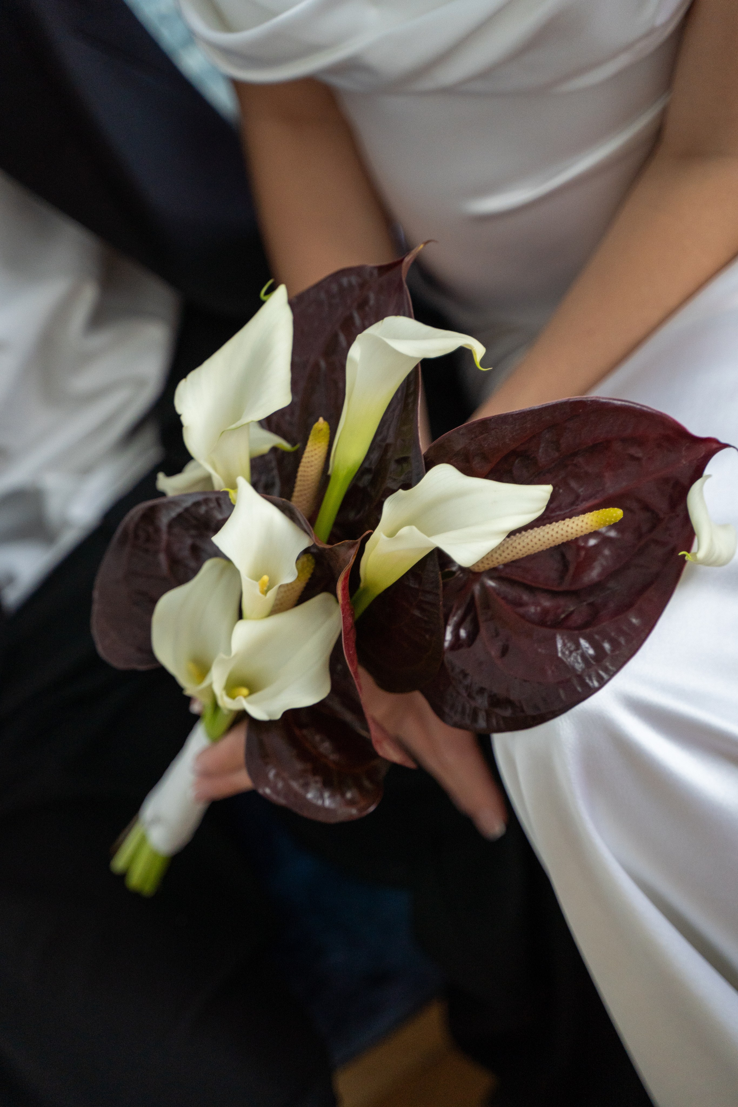 Евгений и Алина. Отель «Савой». Камерная Свадьба