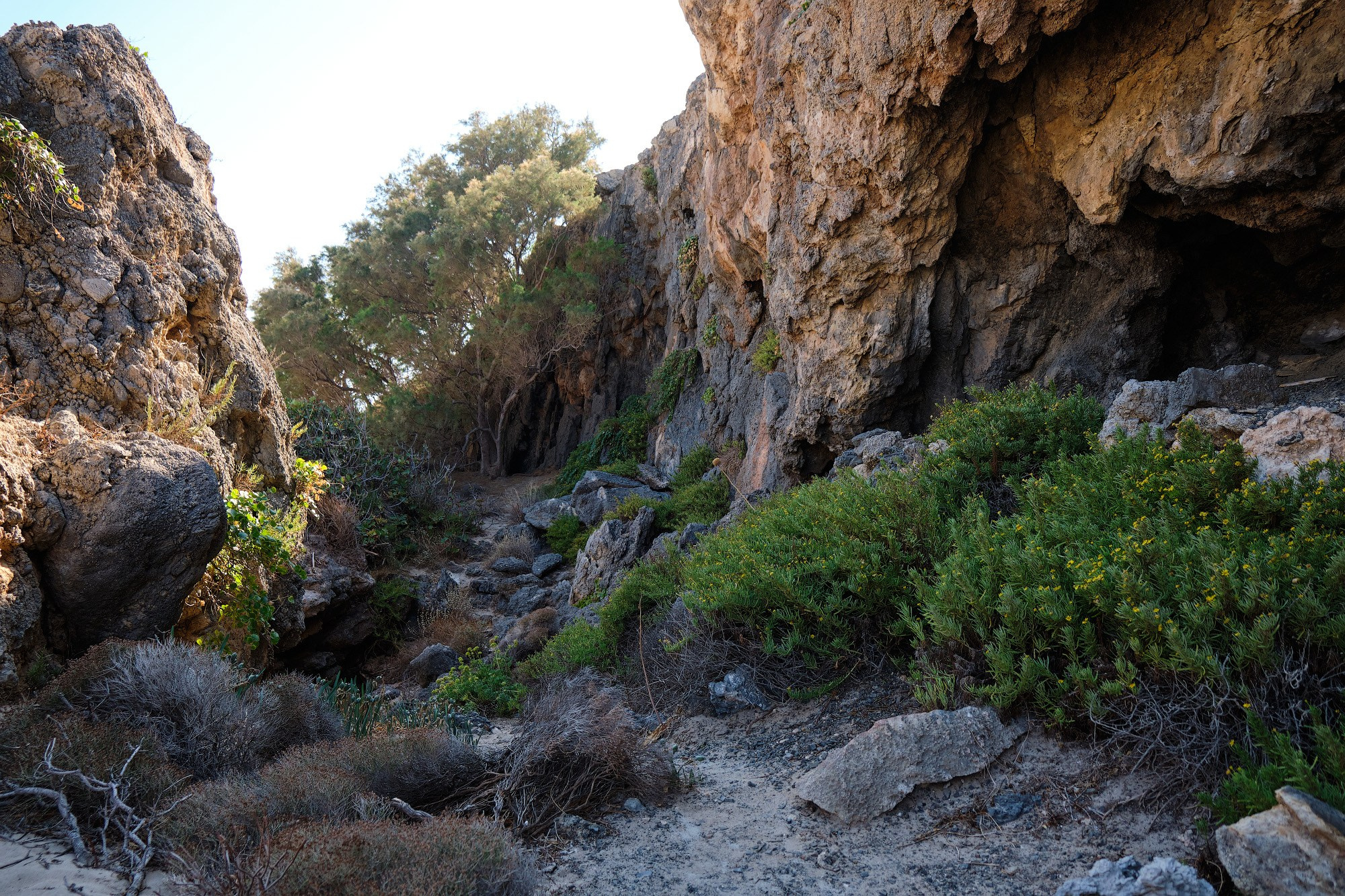 Крит 2019. Репортажный фотограф Дмитрий Литвинский. Минск, Беларусь, мир