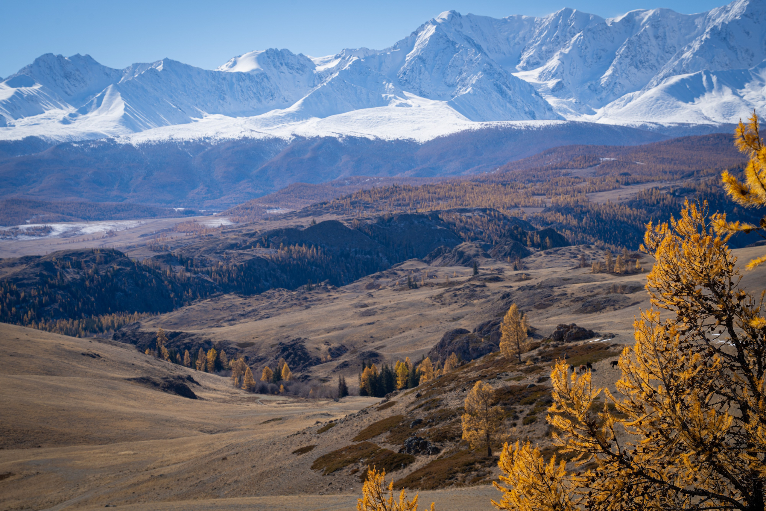 Чуйский тракт. Фотографии Тиграна Худавердяна