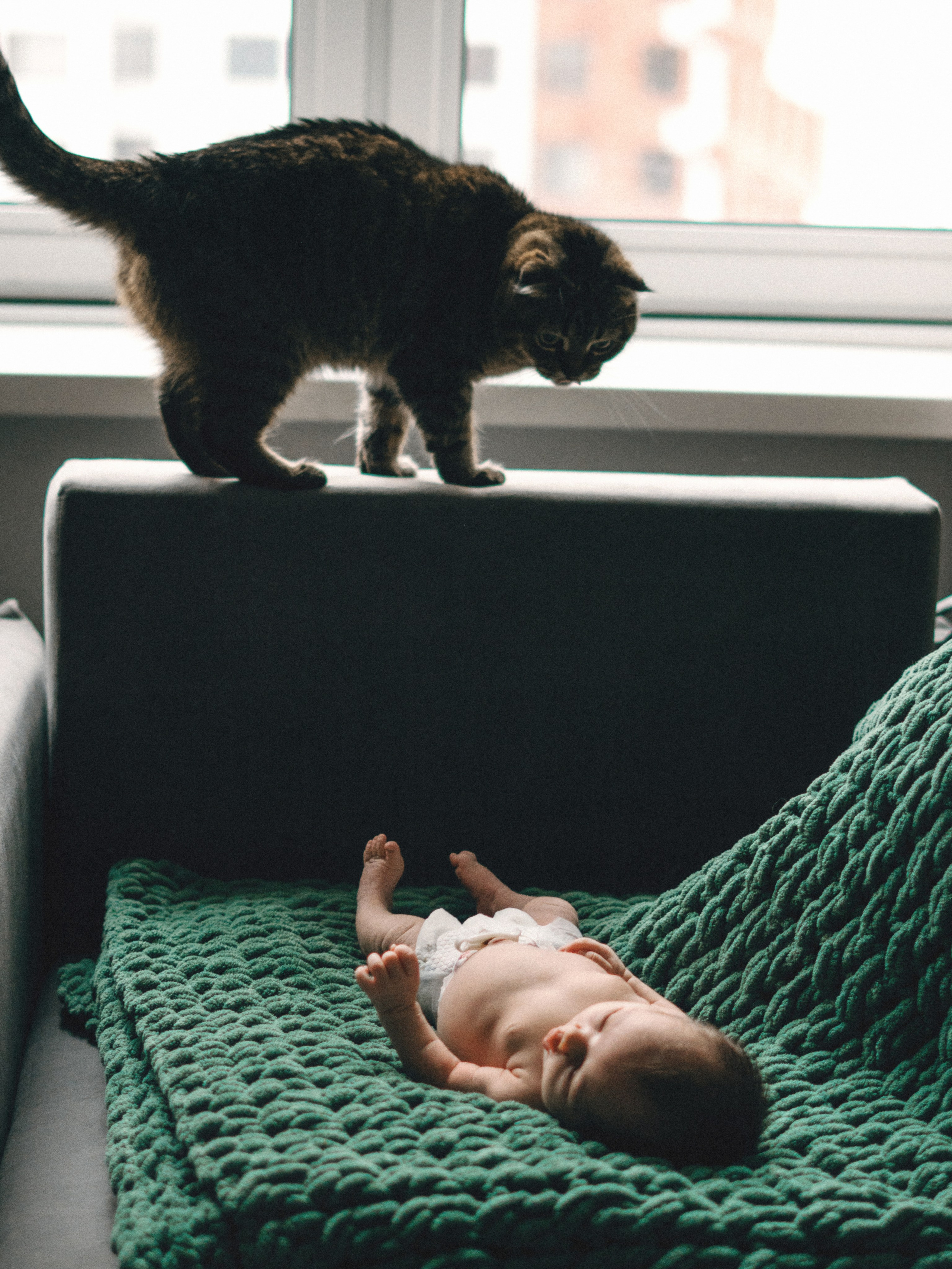 Катюша. SHILOVA PHOTO. Шилова Екатерина. Фотограф. Москва