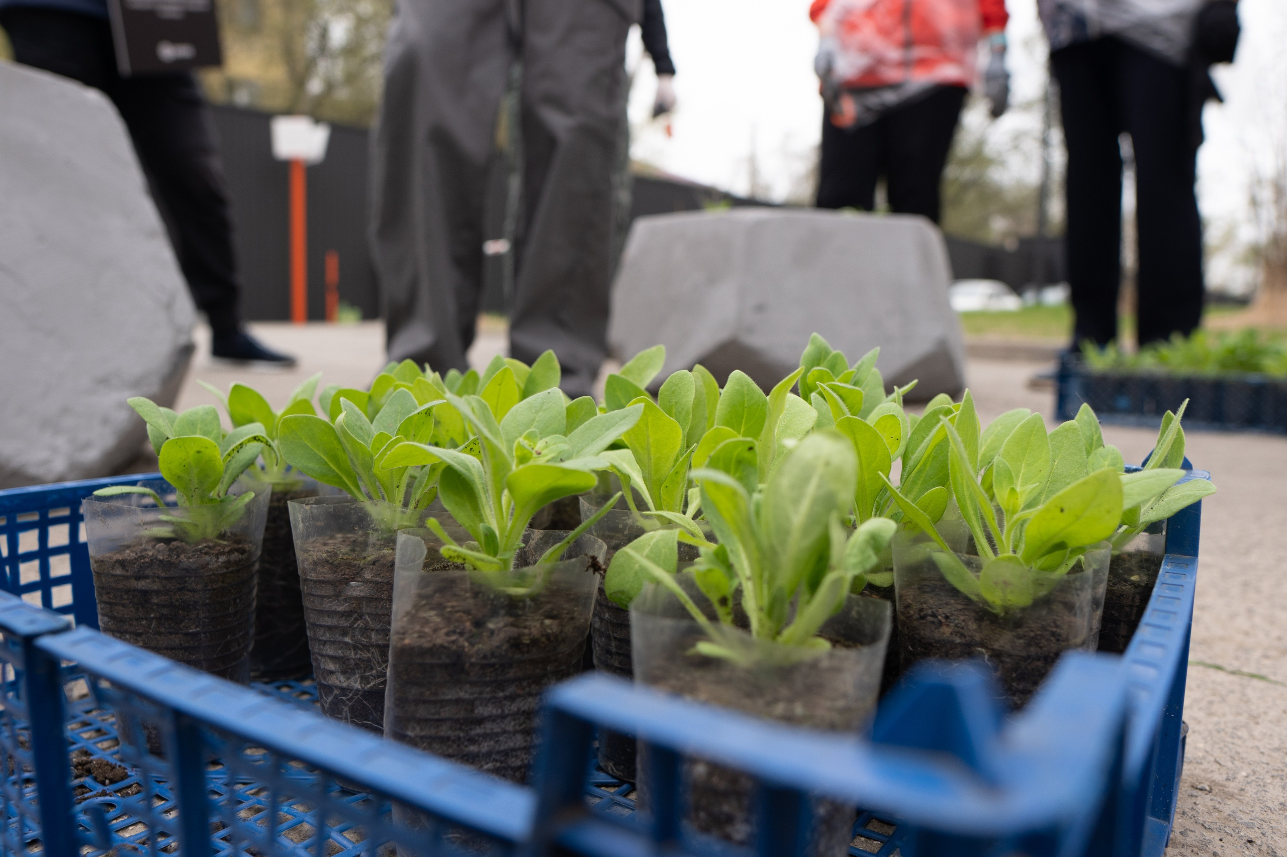 Субботник в ЖК «Панова парк». Фотограф в Самаре Иван Булатов