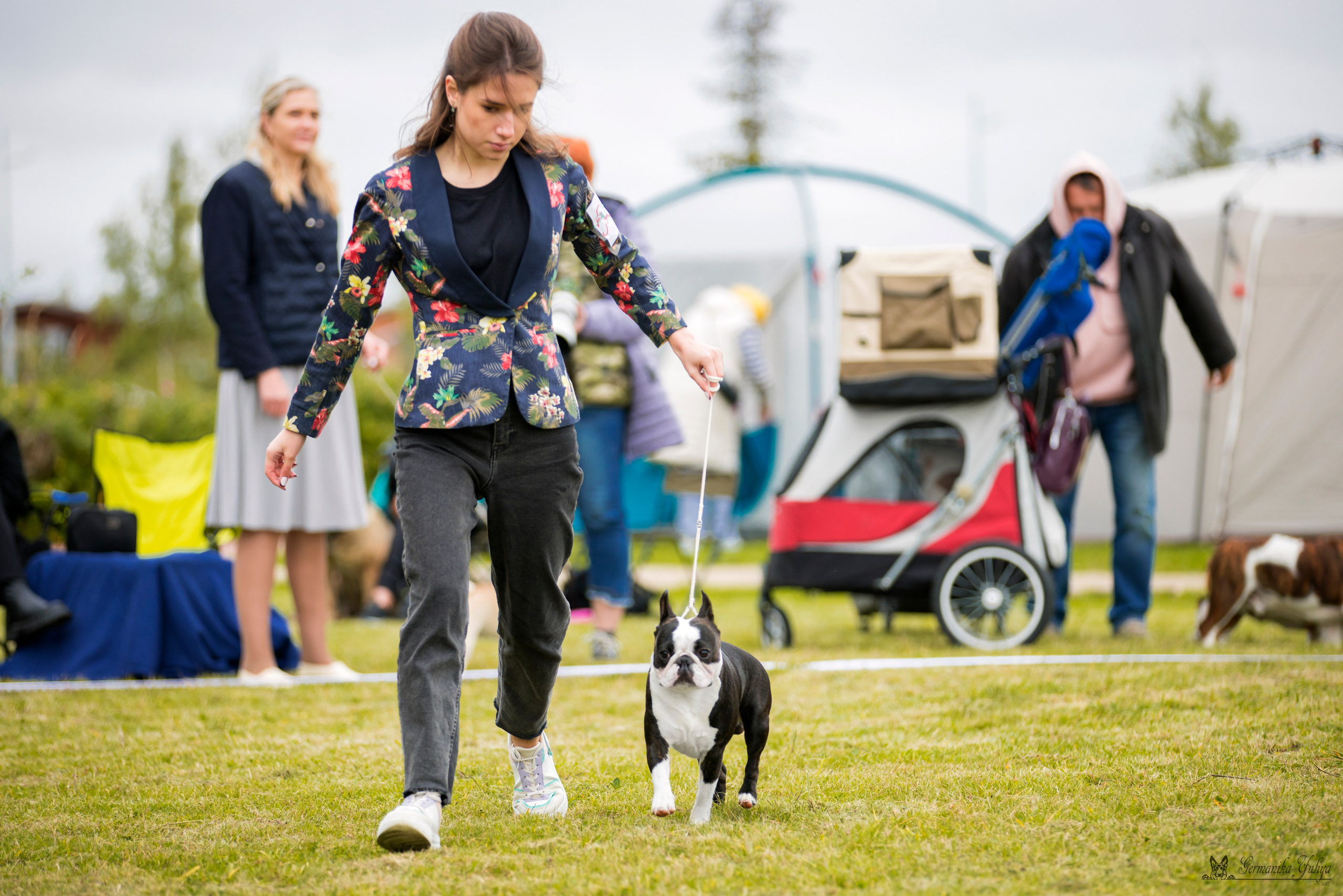 Переславль 9-10.09.2023. Фотограф-анималист Юлия Германика