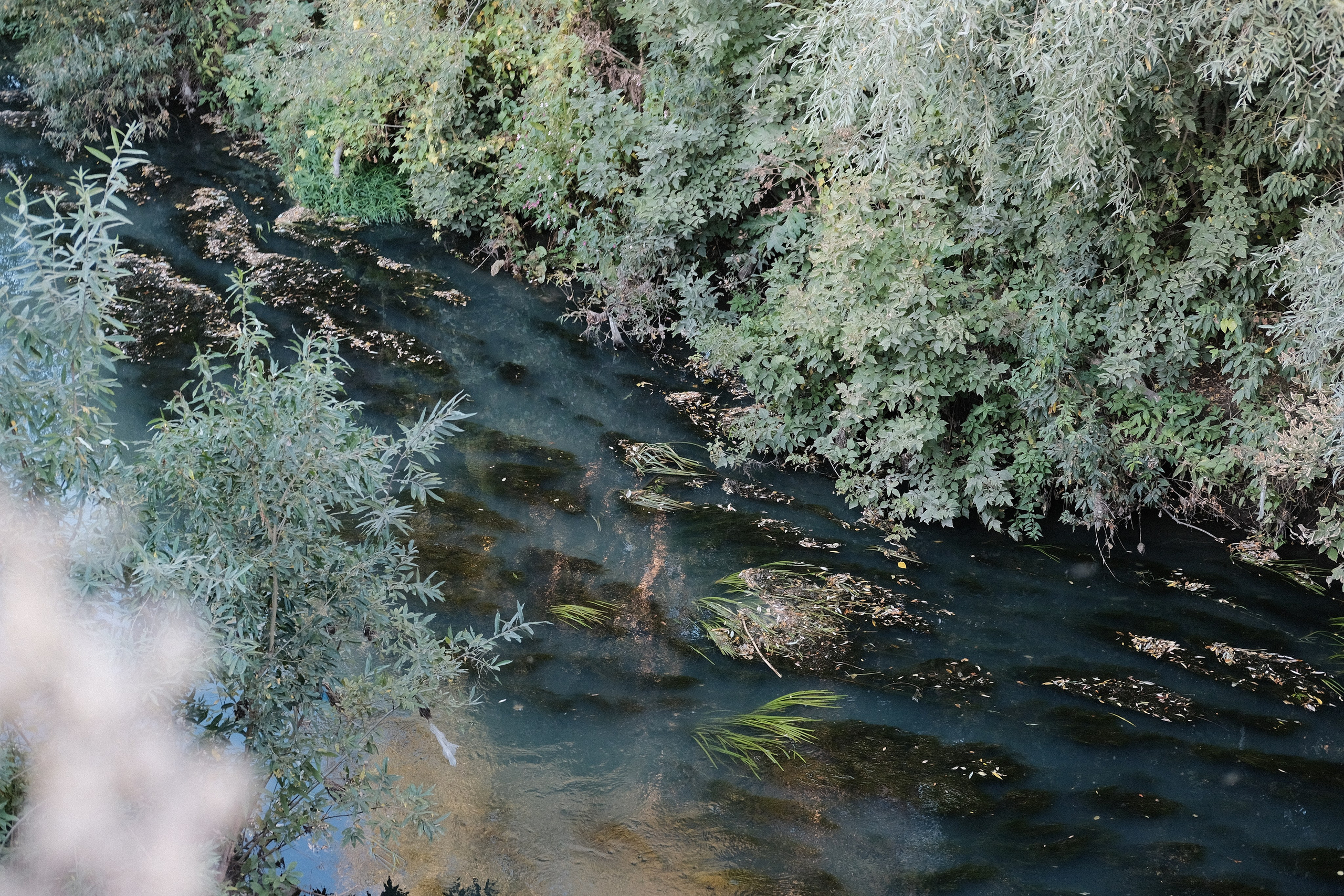 Наблюдения. Семейный фотограф в Новосибирске Артём Кузнецов