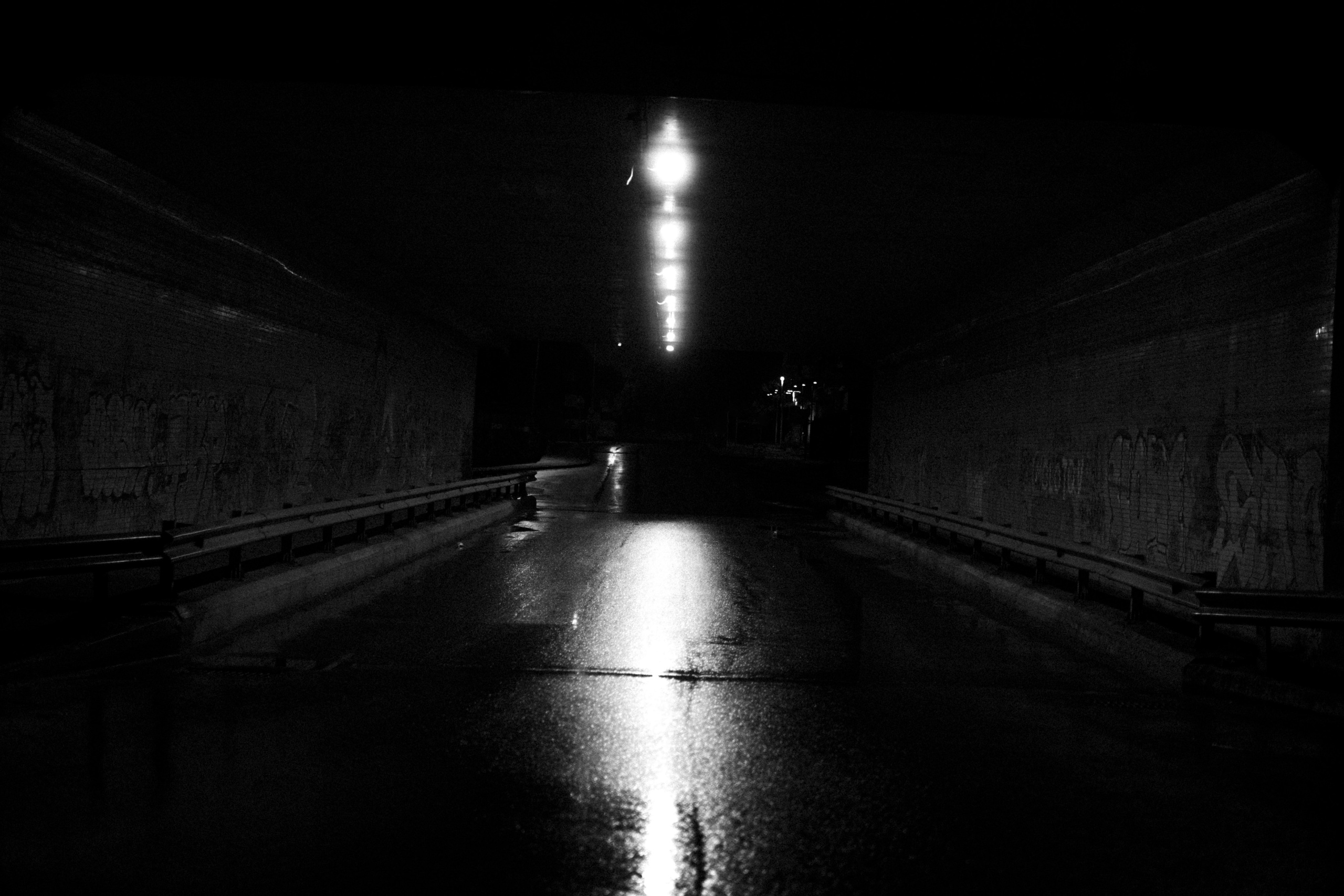 Прогулка после дождя. Veronika Popadeikina Photographer