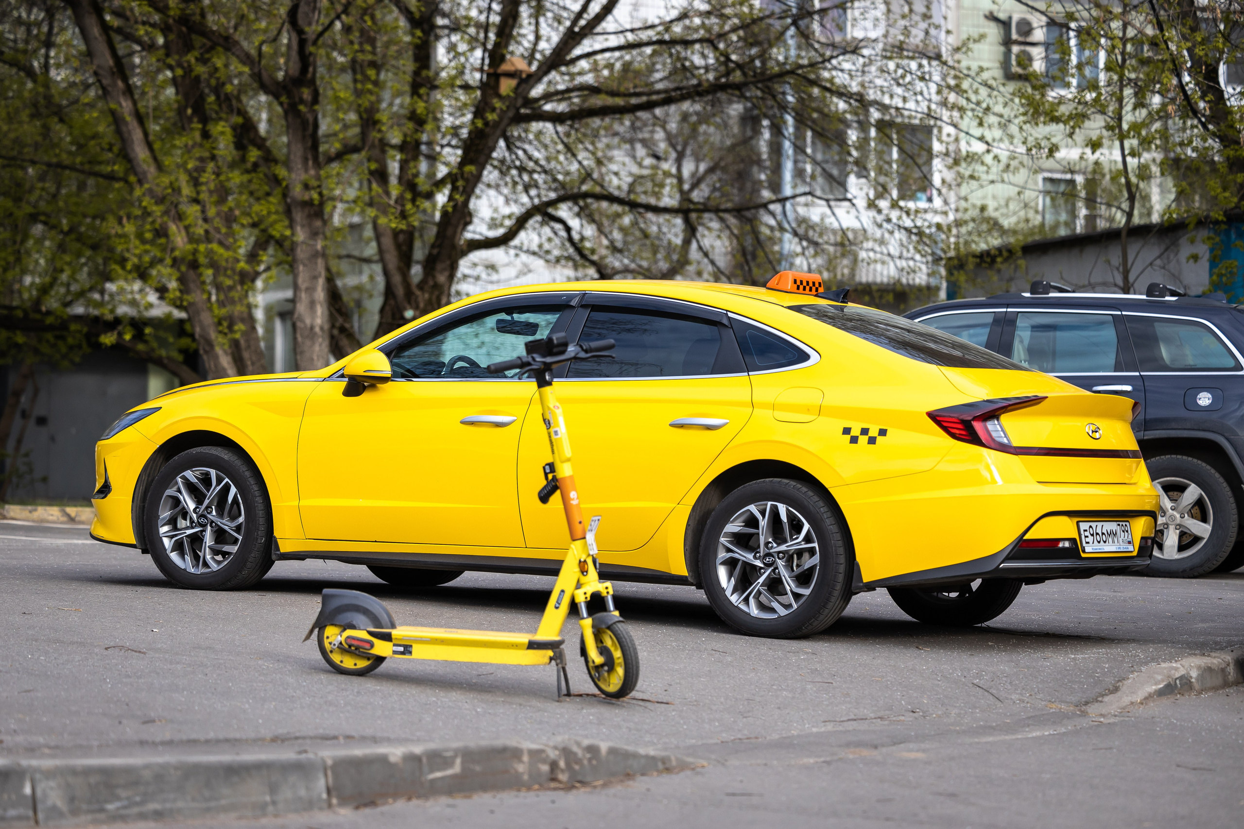 Мимикрия (Городской камуфляж). Фотограф Владимир Охрименко