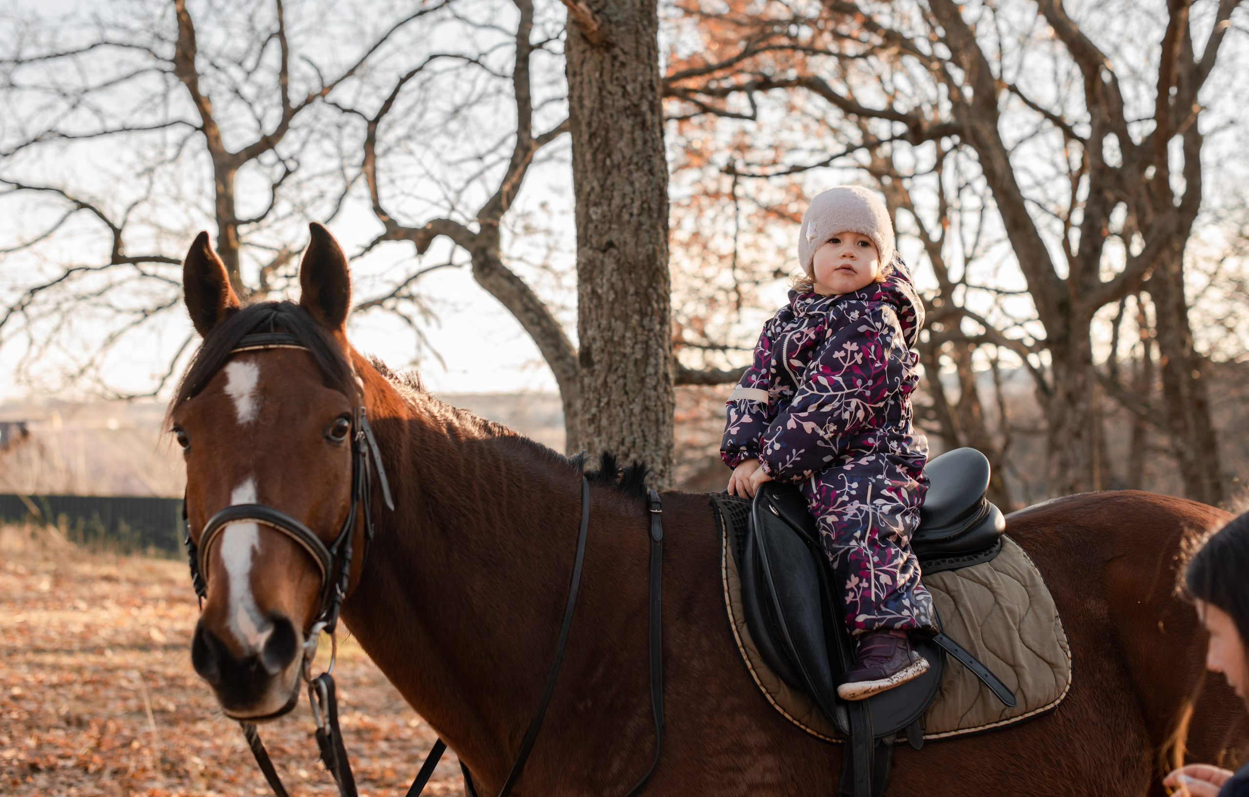 Дети и лошади. Конный фотограф в Саратове Юлия Иванова