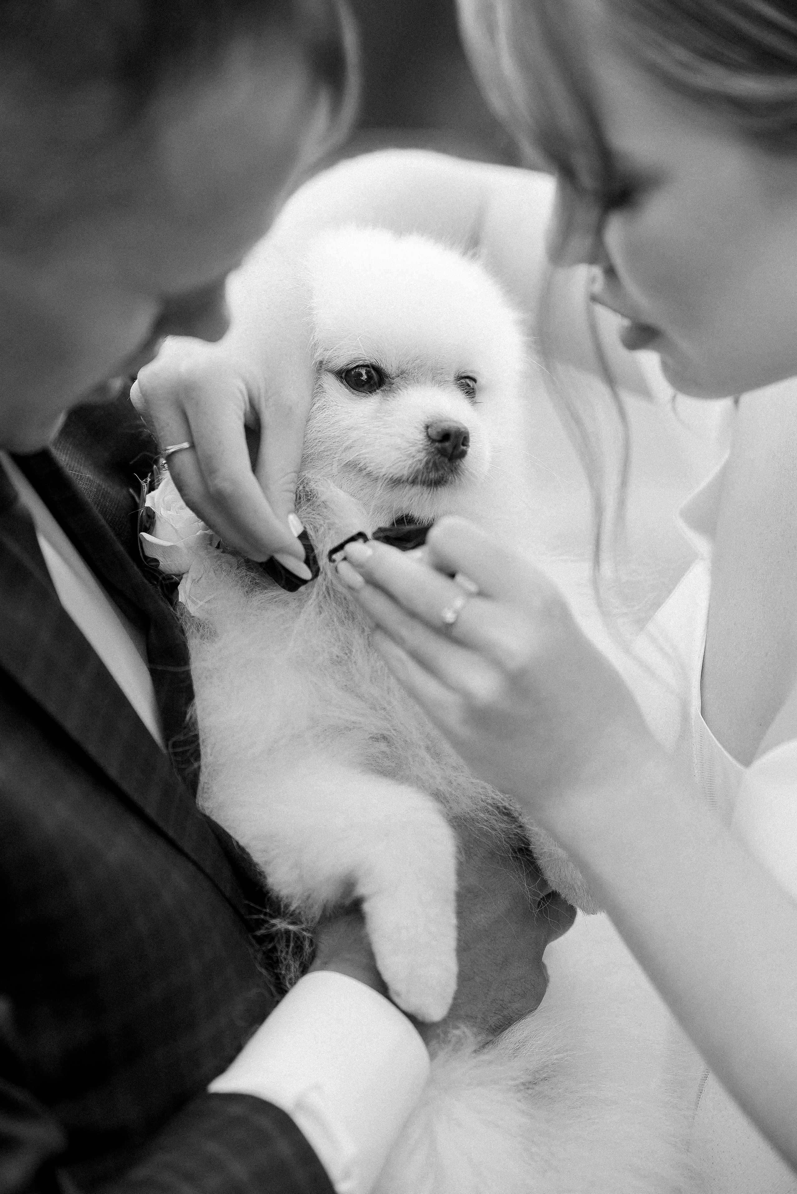 Стоимость. Фотограф в Кемерово Жанна Шмаль