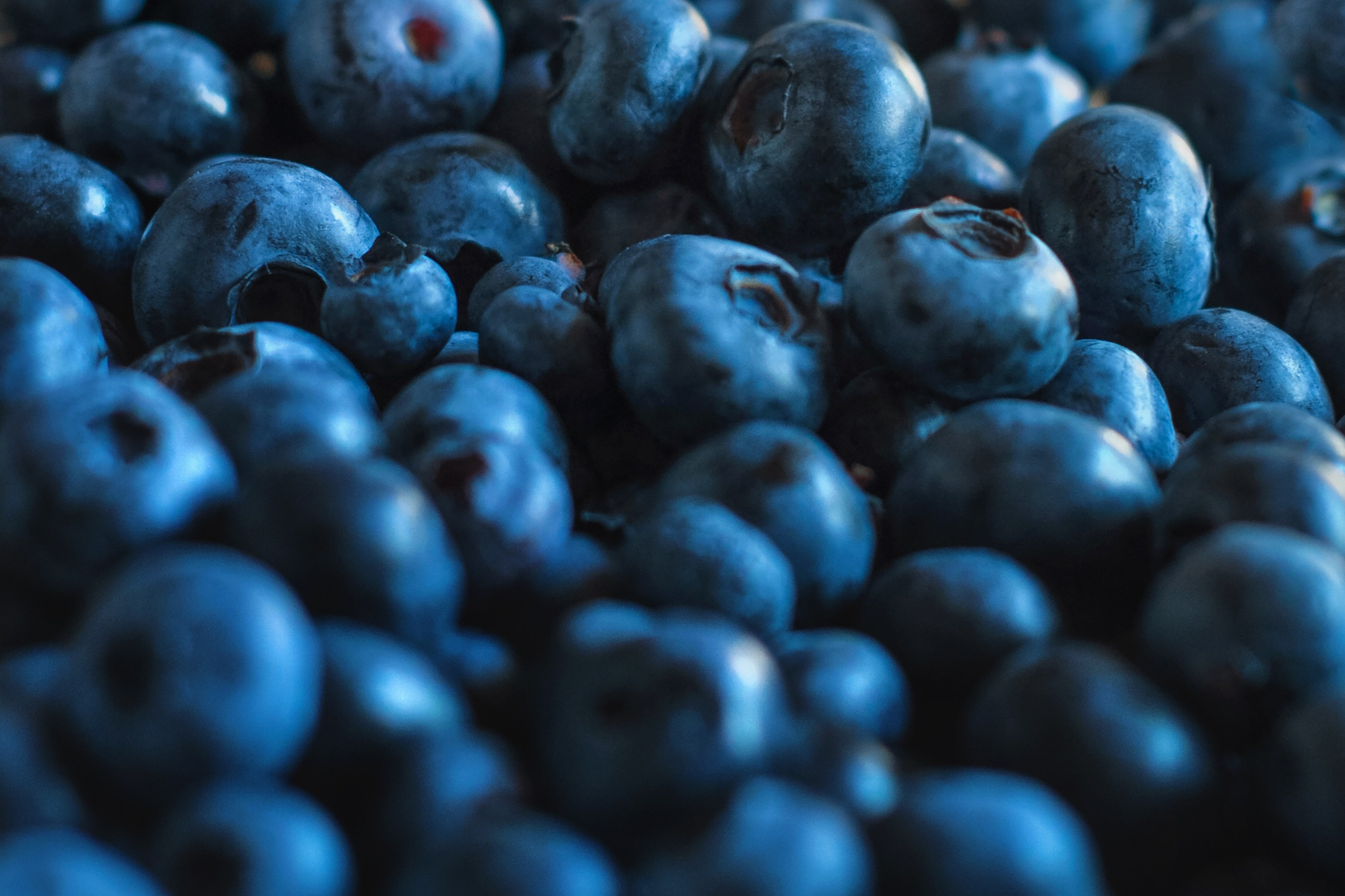 Фото еды и напитков для маркетплейсов. Фотограф и художник Kerry Moore